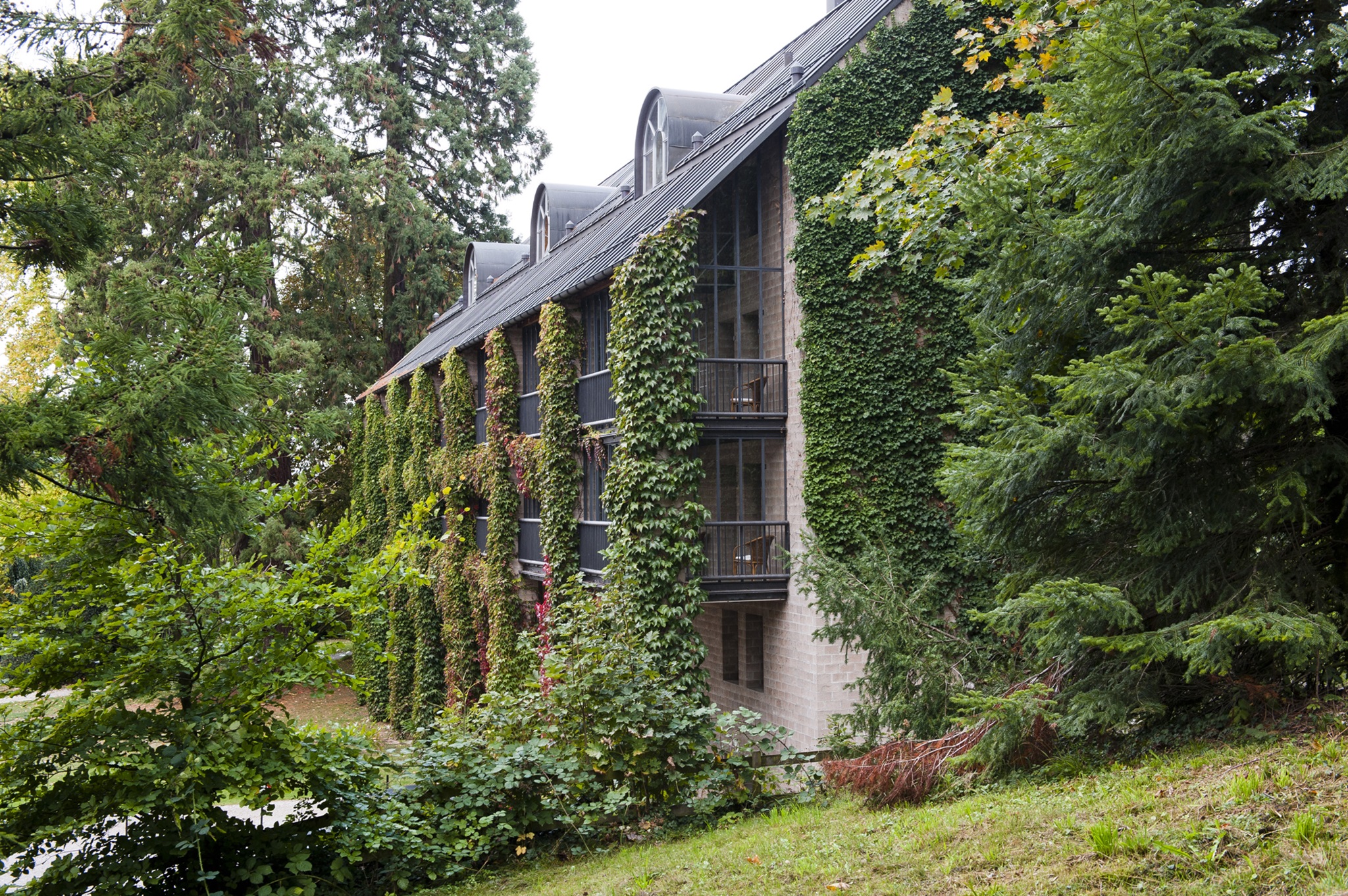 Schloss Münchenwiler – Bild