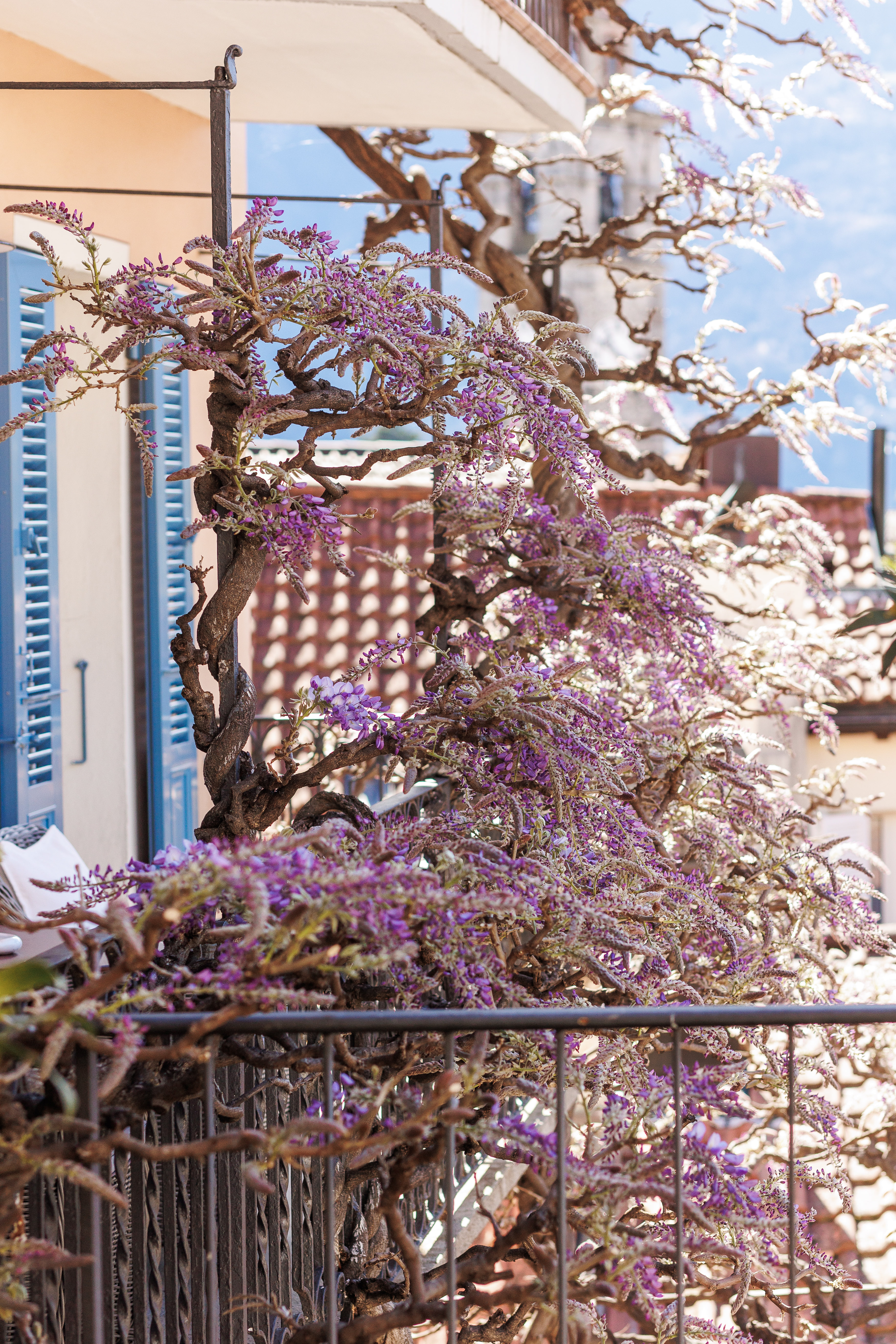 Art Hotel Riposo – Bild