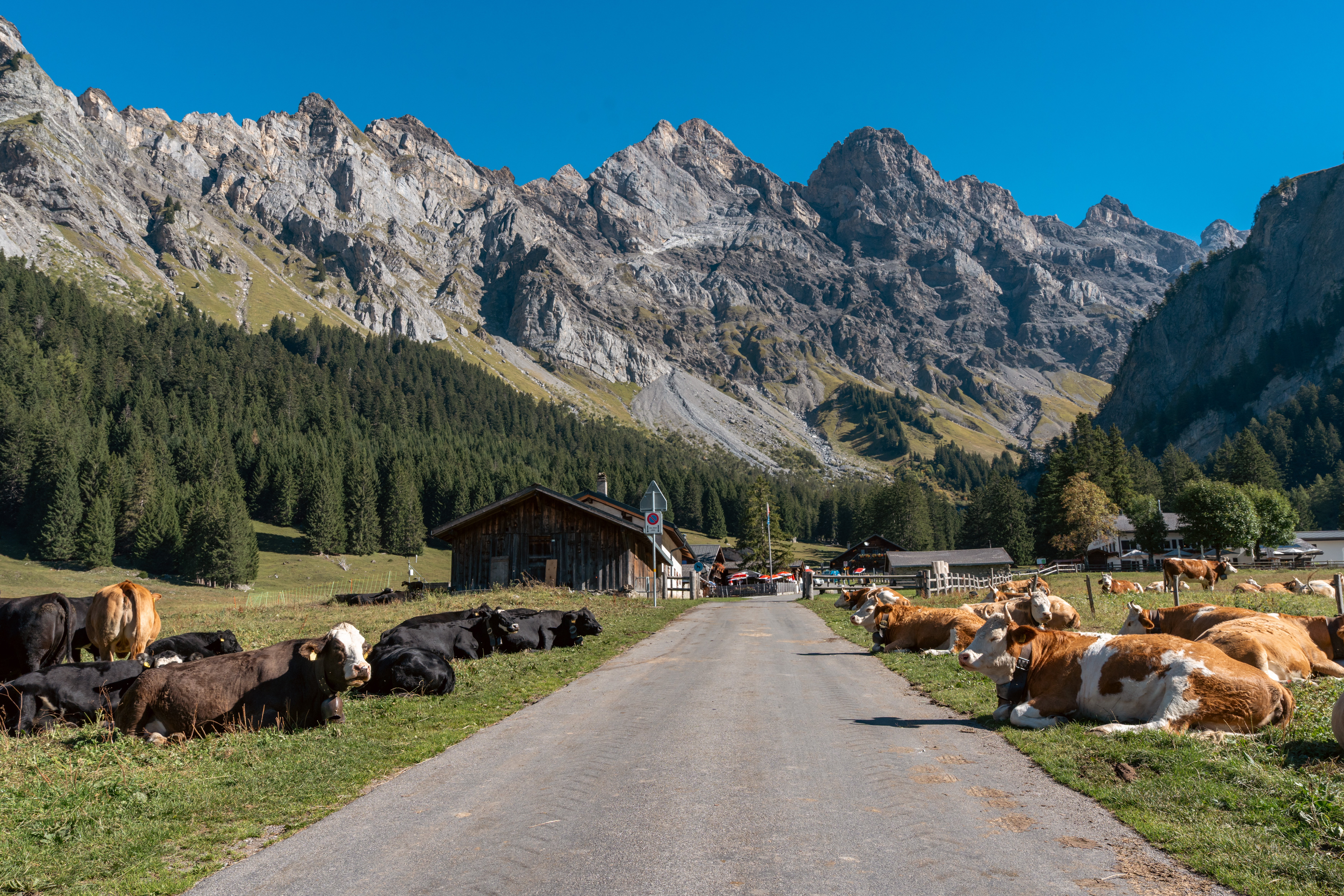 Miroir d’Argentine – Bild