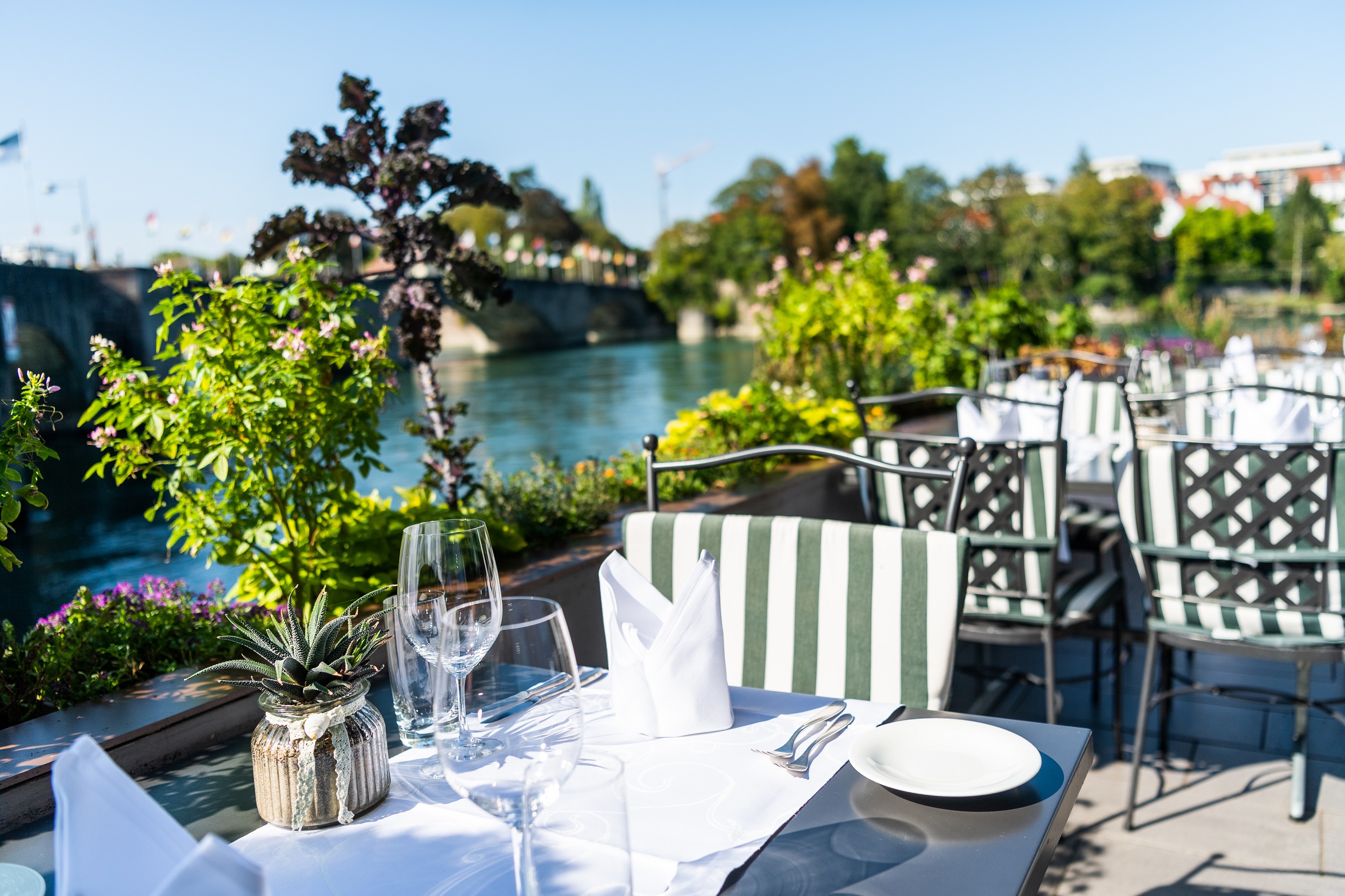 HOTEL SCHIFF AM RHEIN – Bild