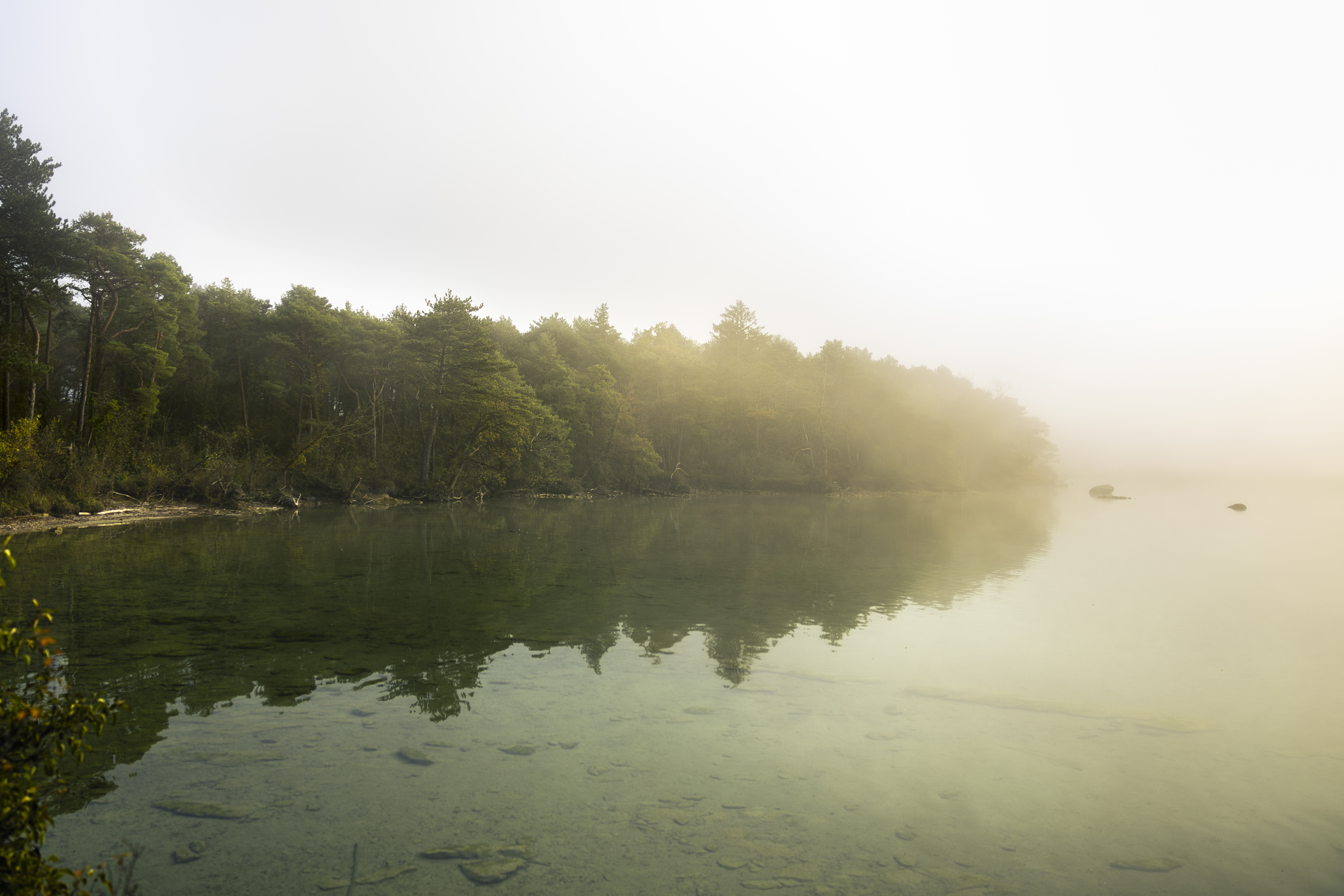 Hotel St. Petersinsel – Bild