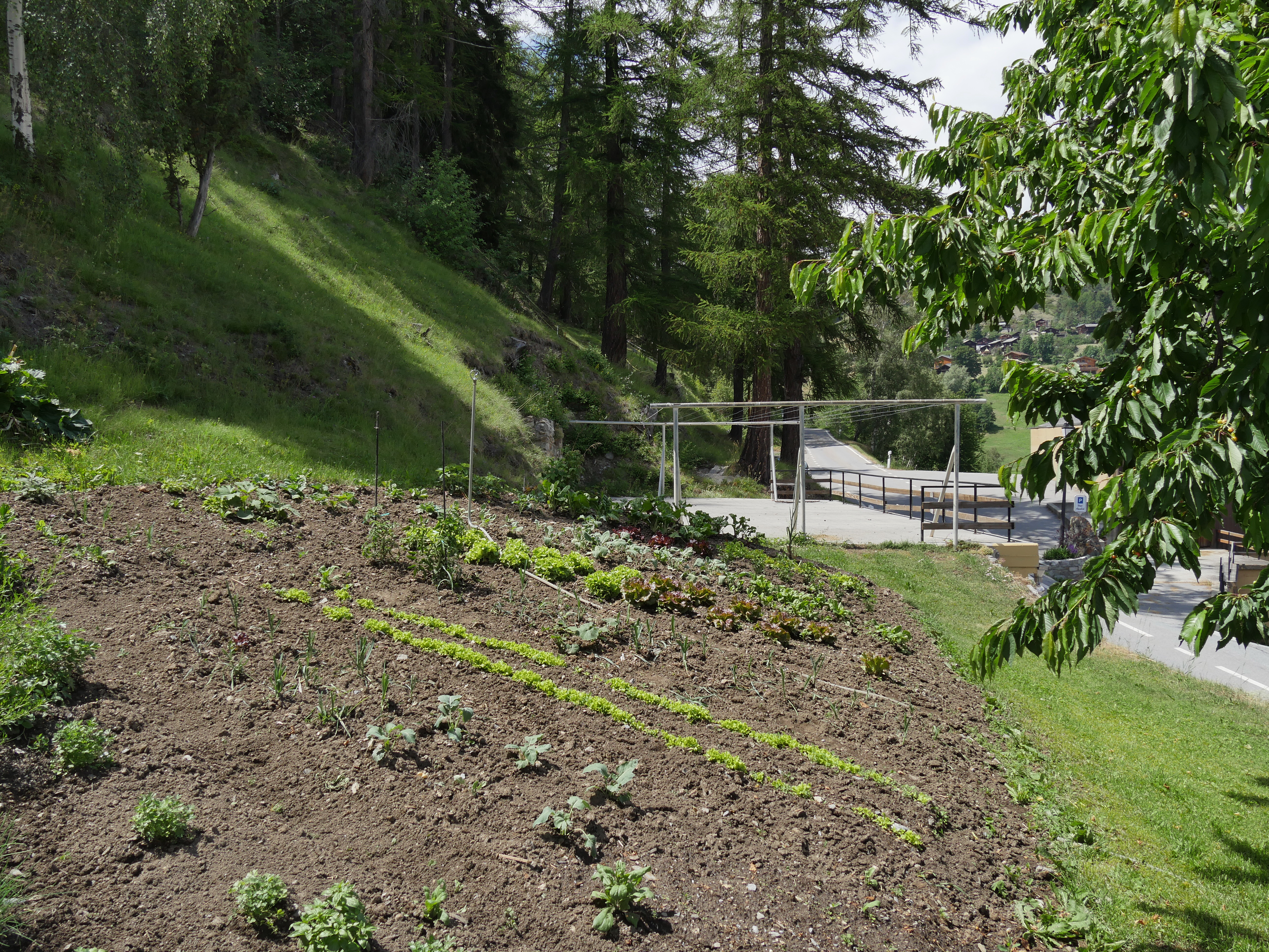 Hotel Alpenblick – image