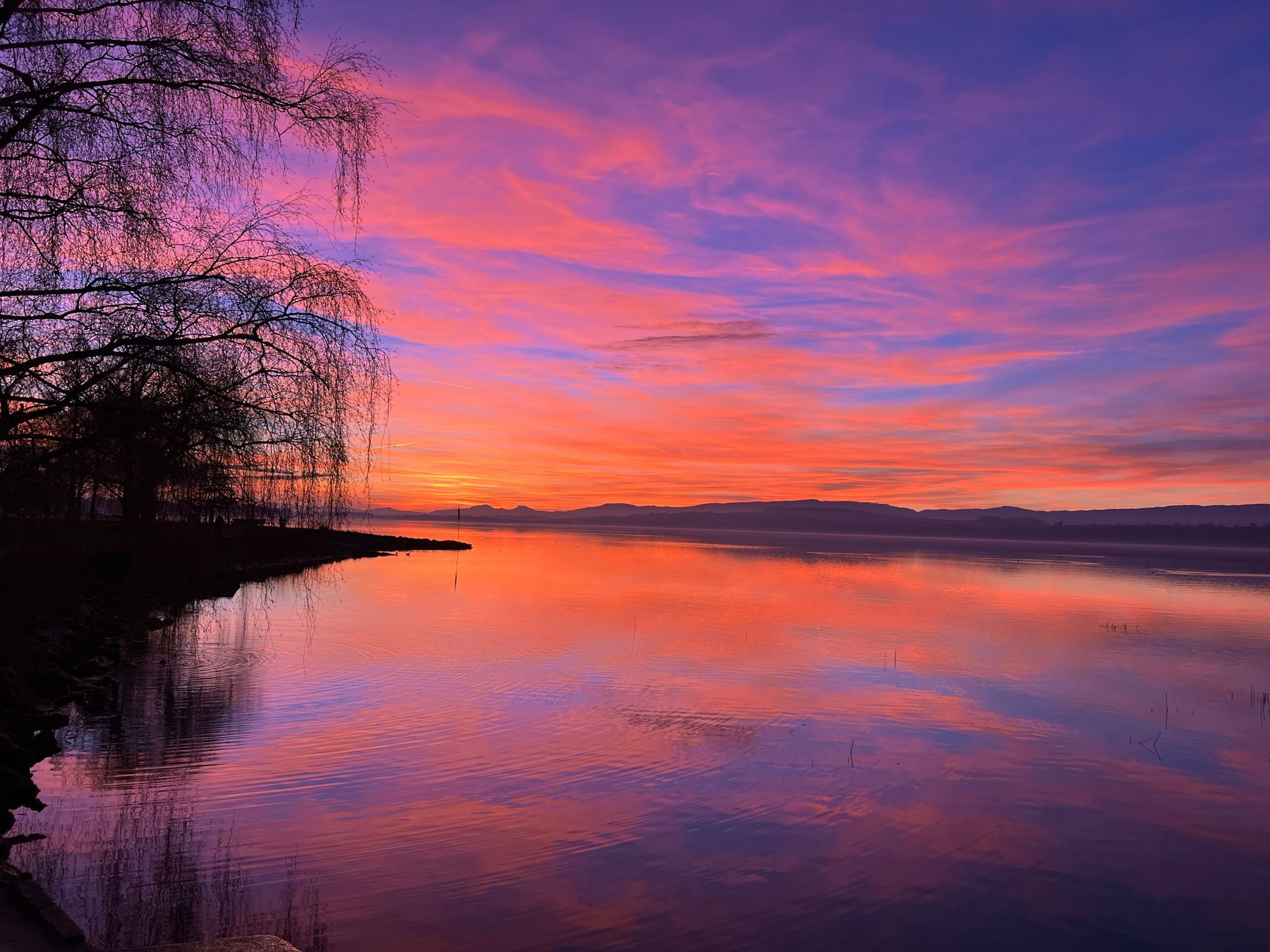 Hotel Bad Murtensee – Bild