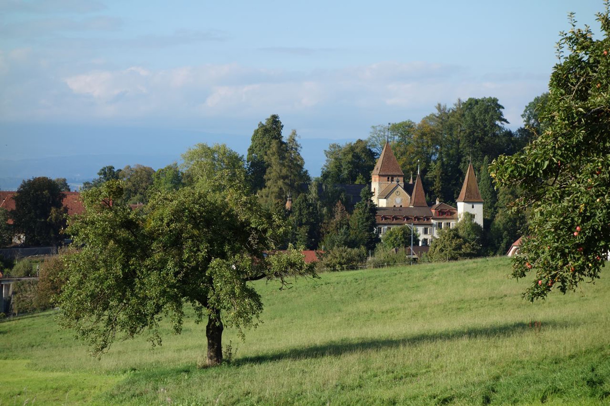 Schloss Münchenwiler – Bild