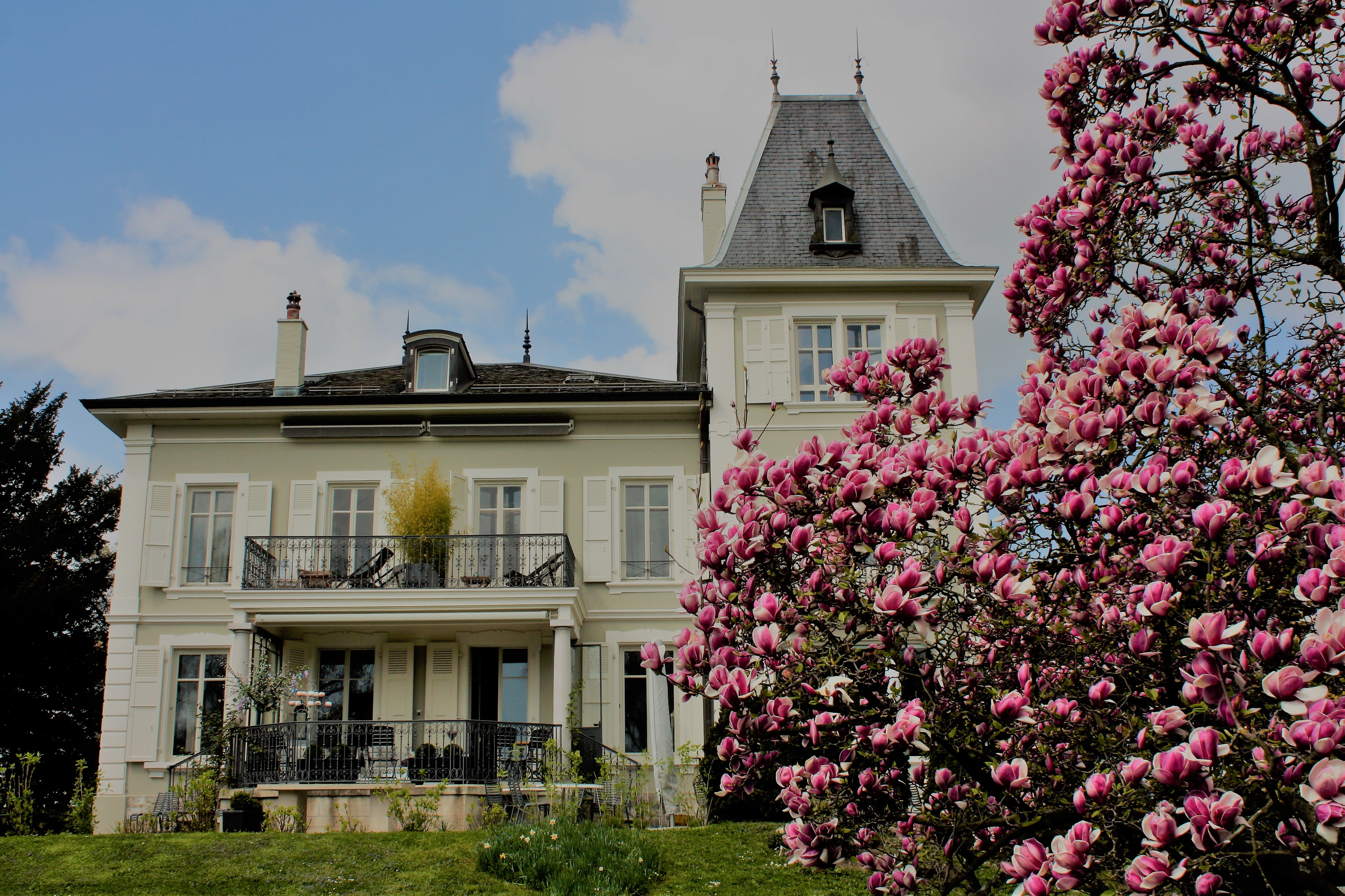 La Maison d'Igor – Bild