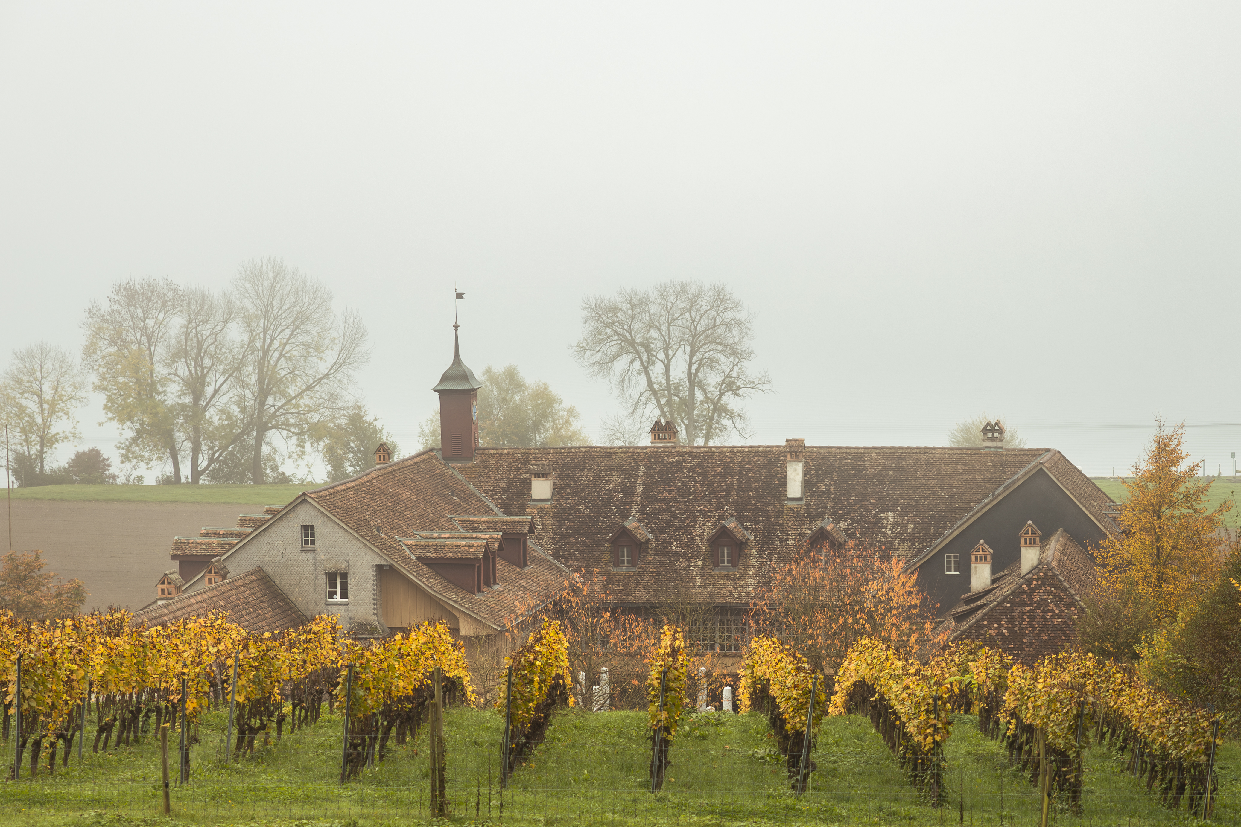 Hotel St. Petersinsel – Bild