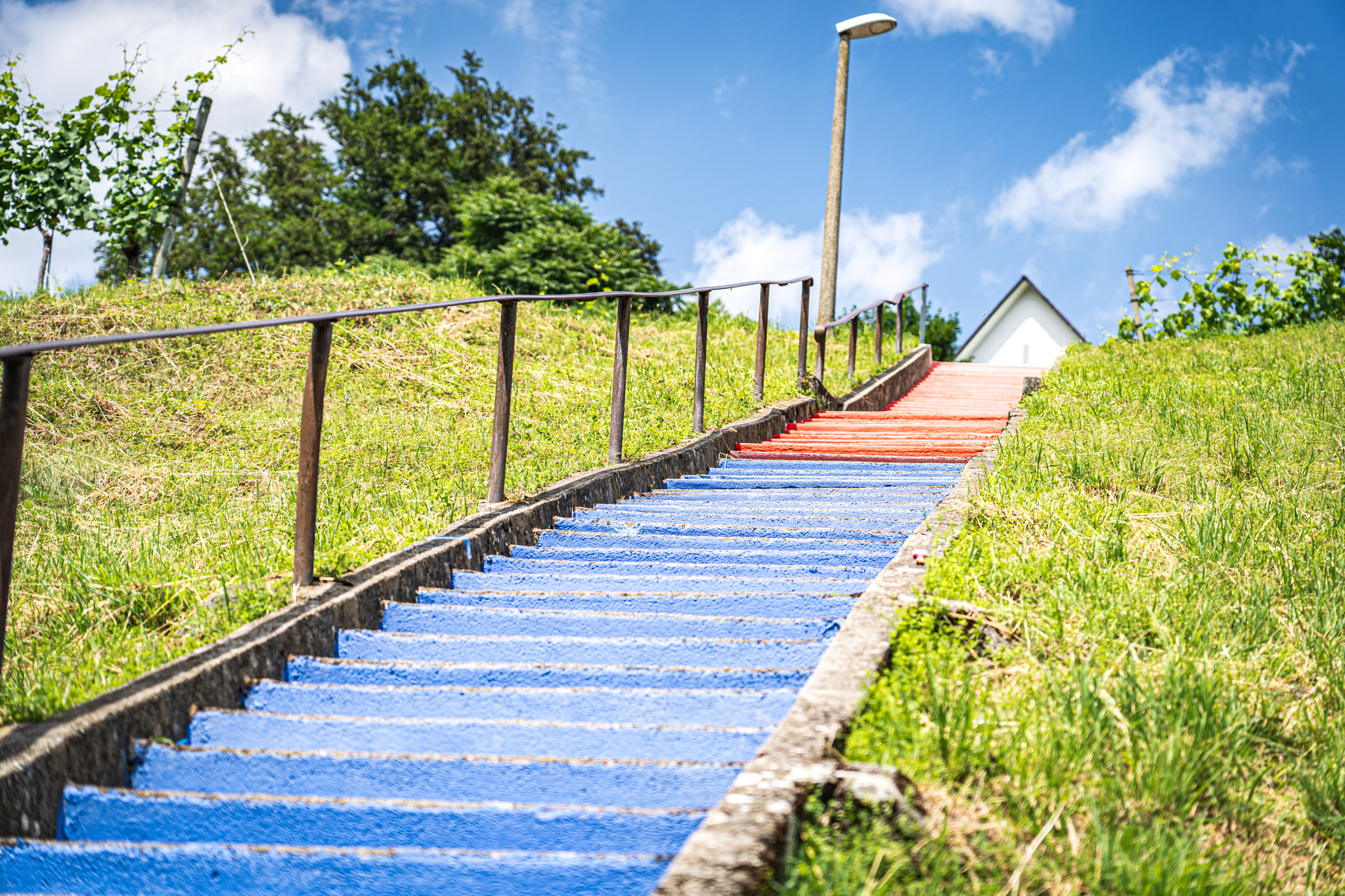 Landgasthof Halbinsel Au – image