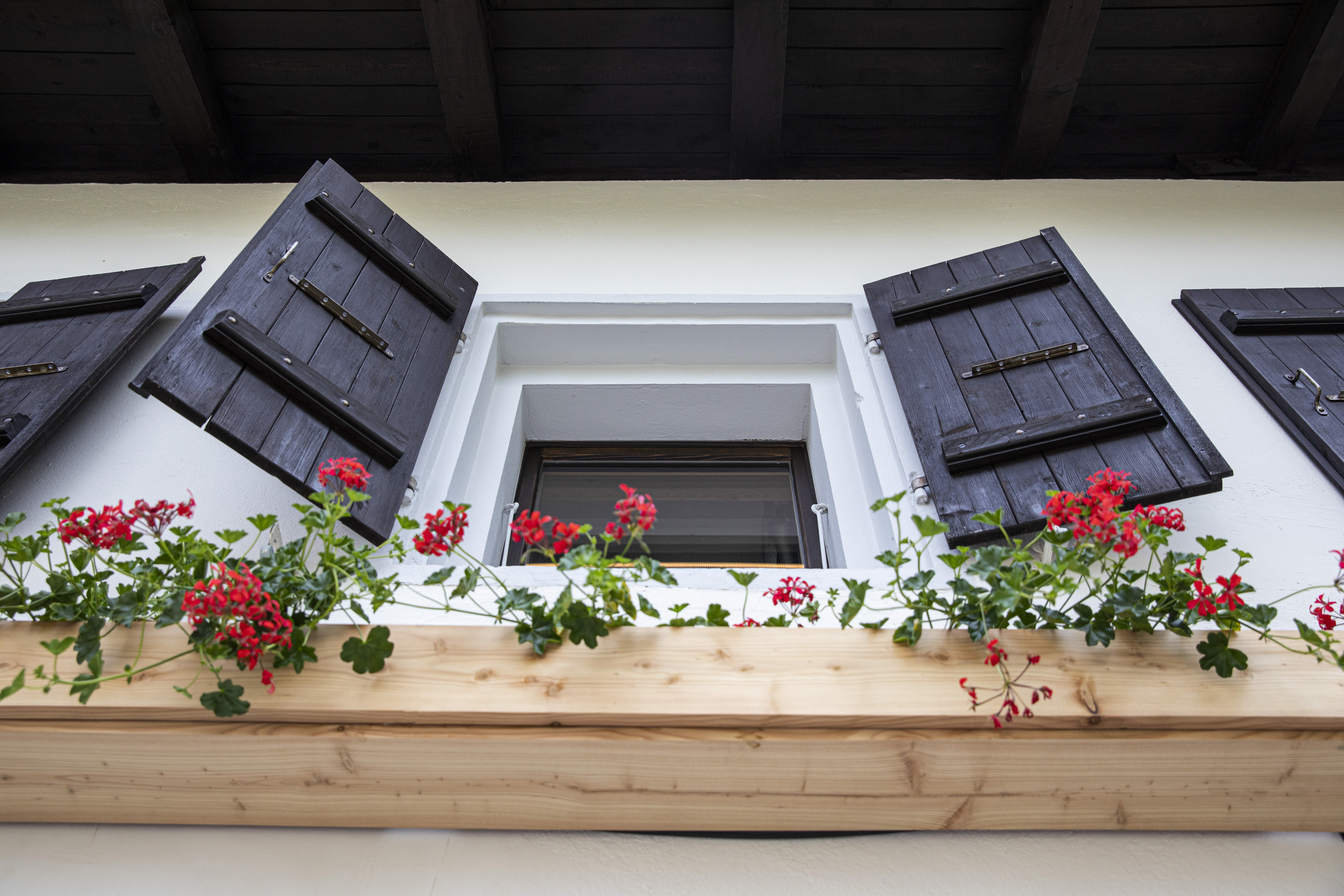 Miroir d’Argentine – Bild