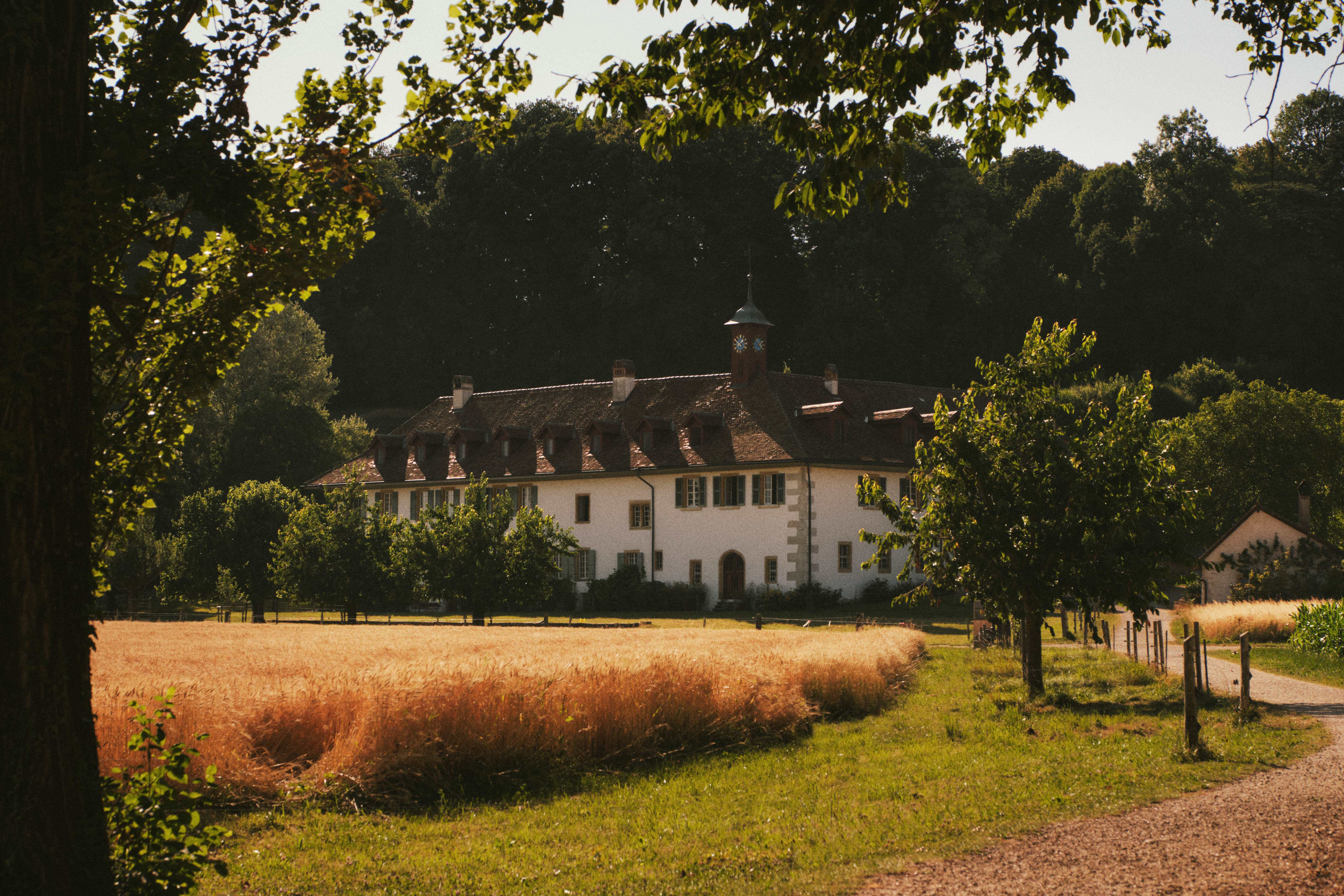 Hotel St. Petersinsel – Bild