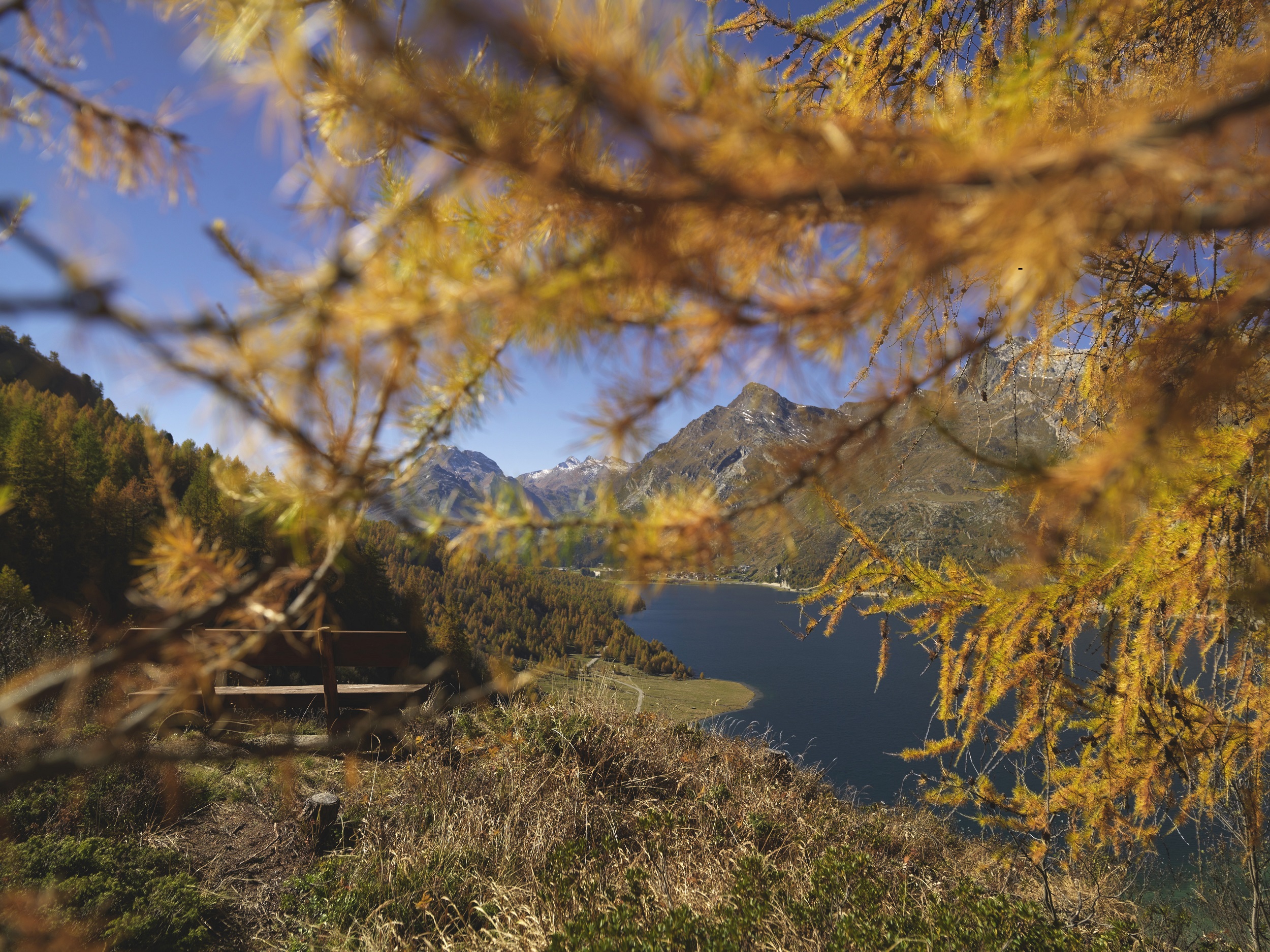 Hotel Donatz AG – Bild