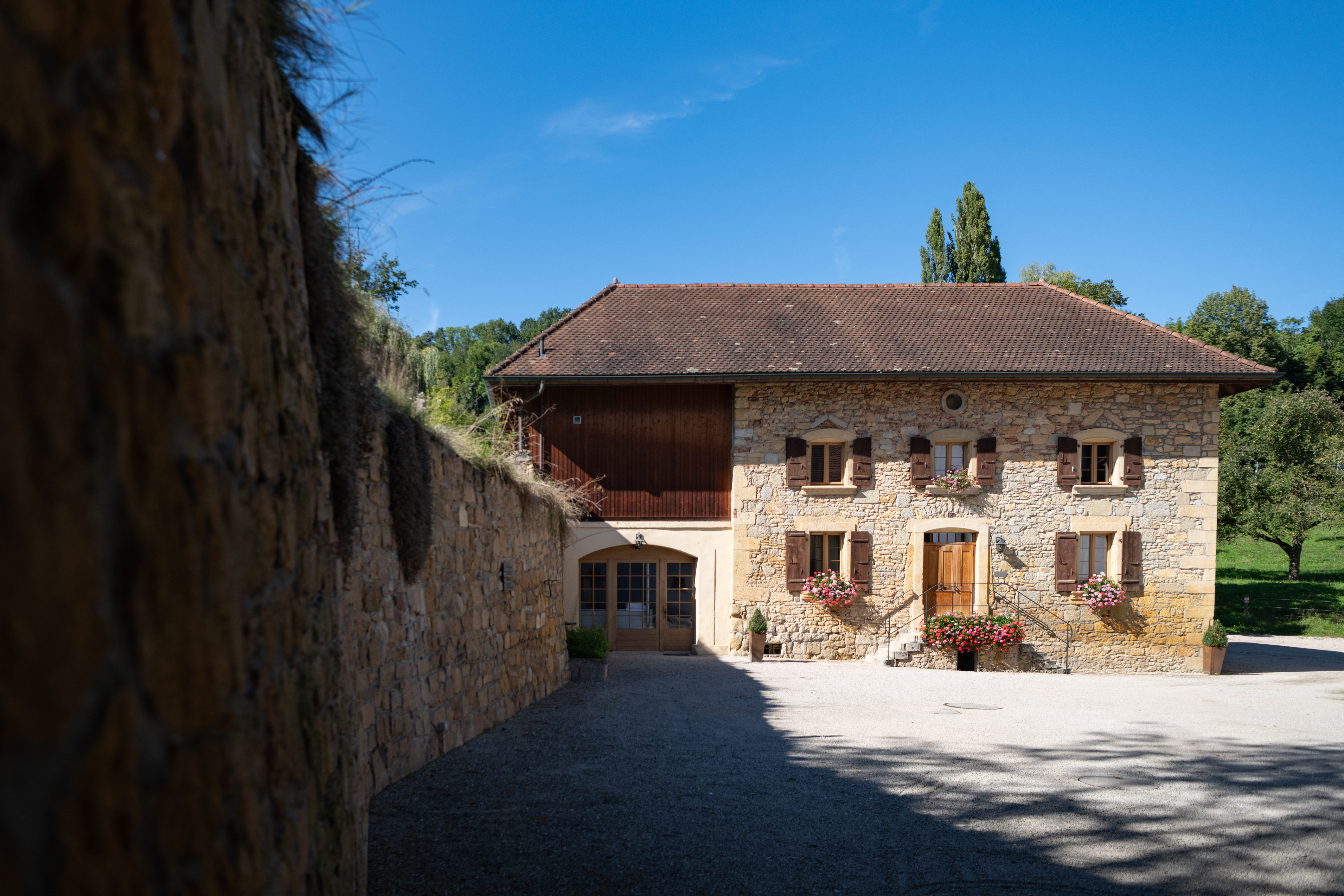 Château Salavaux – Bild