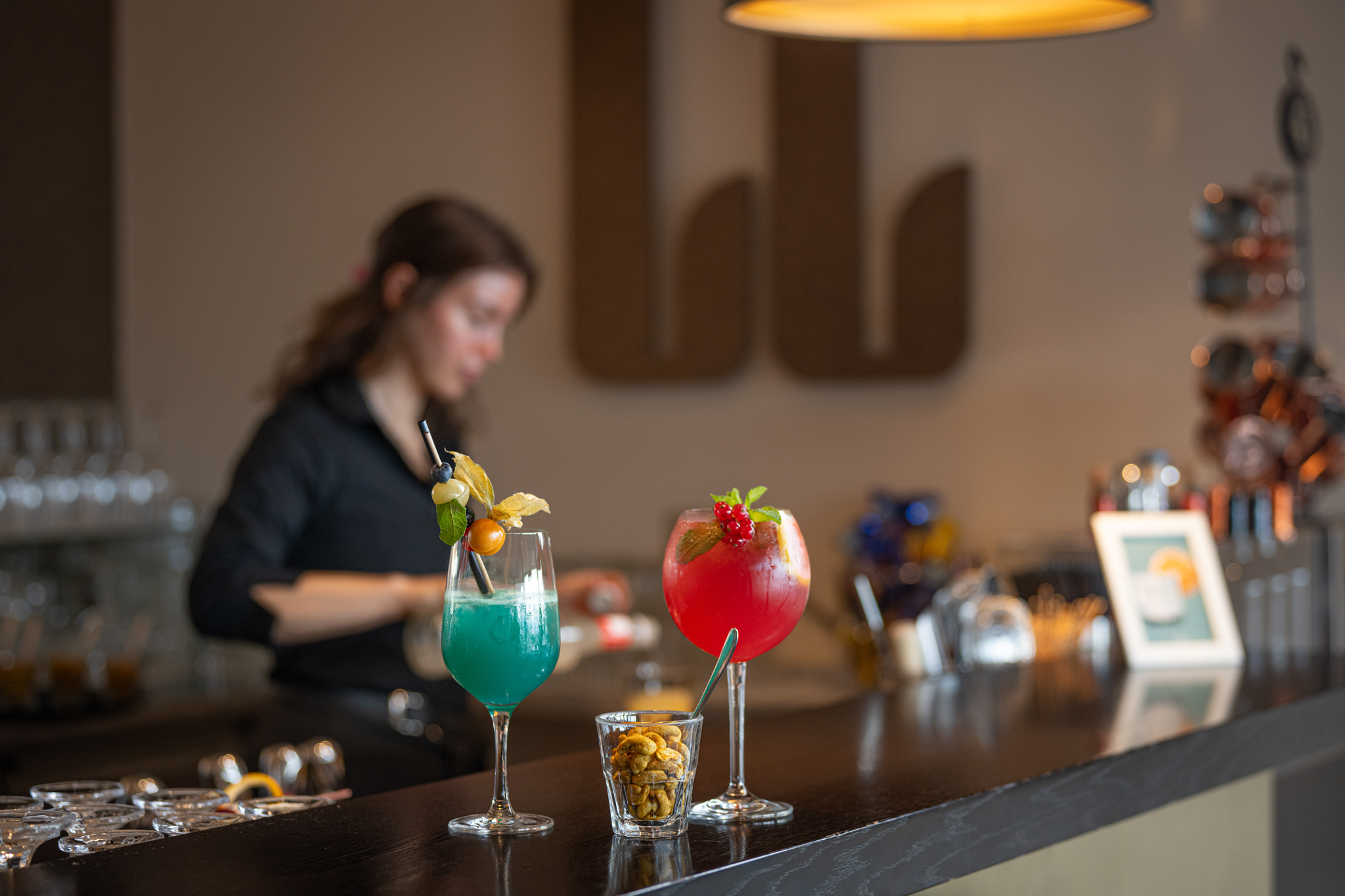 Hotel Marina Lachen – image