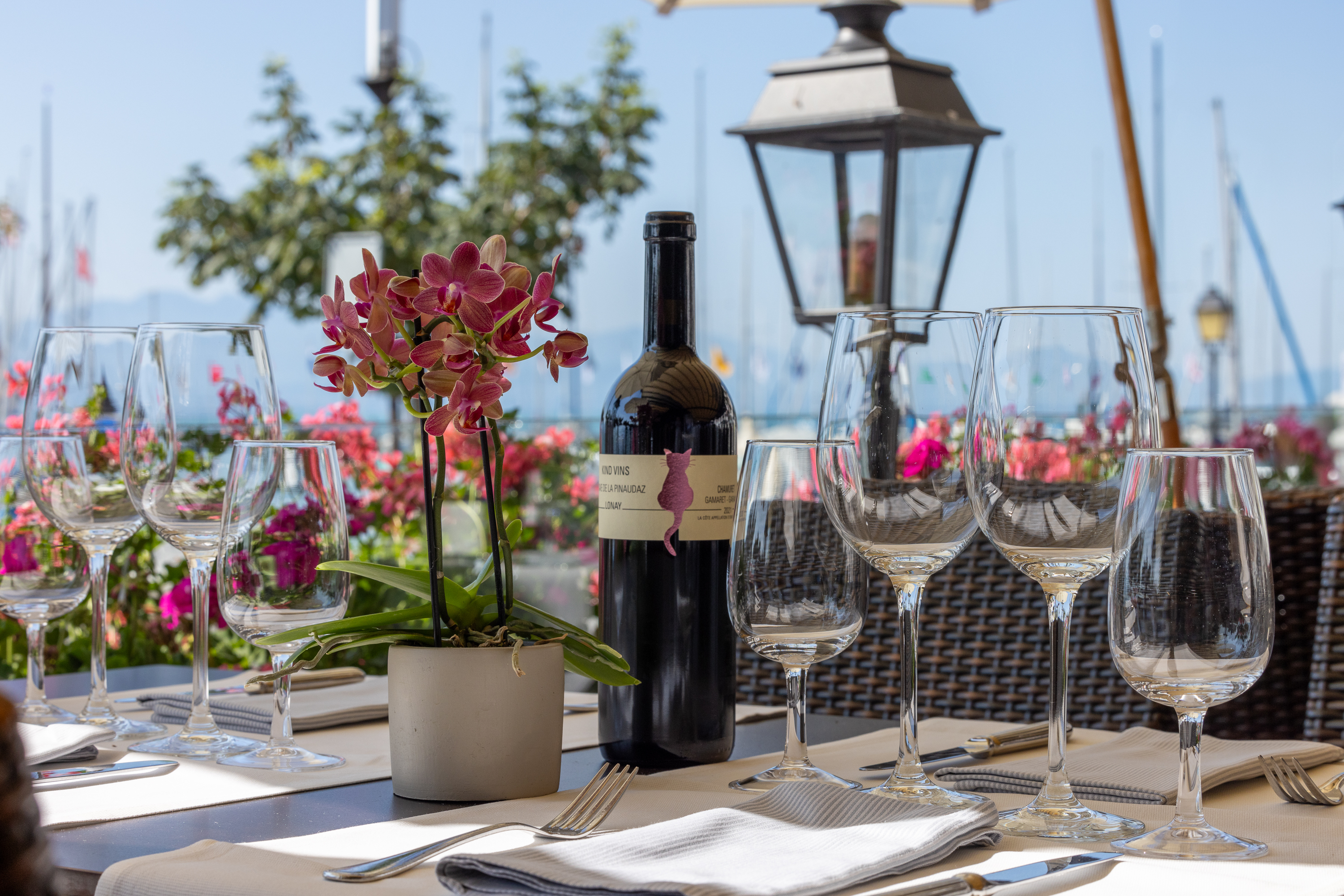 Terrassen-Restaurant Terrassen-Restaurant