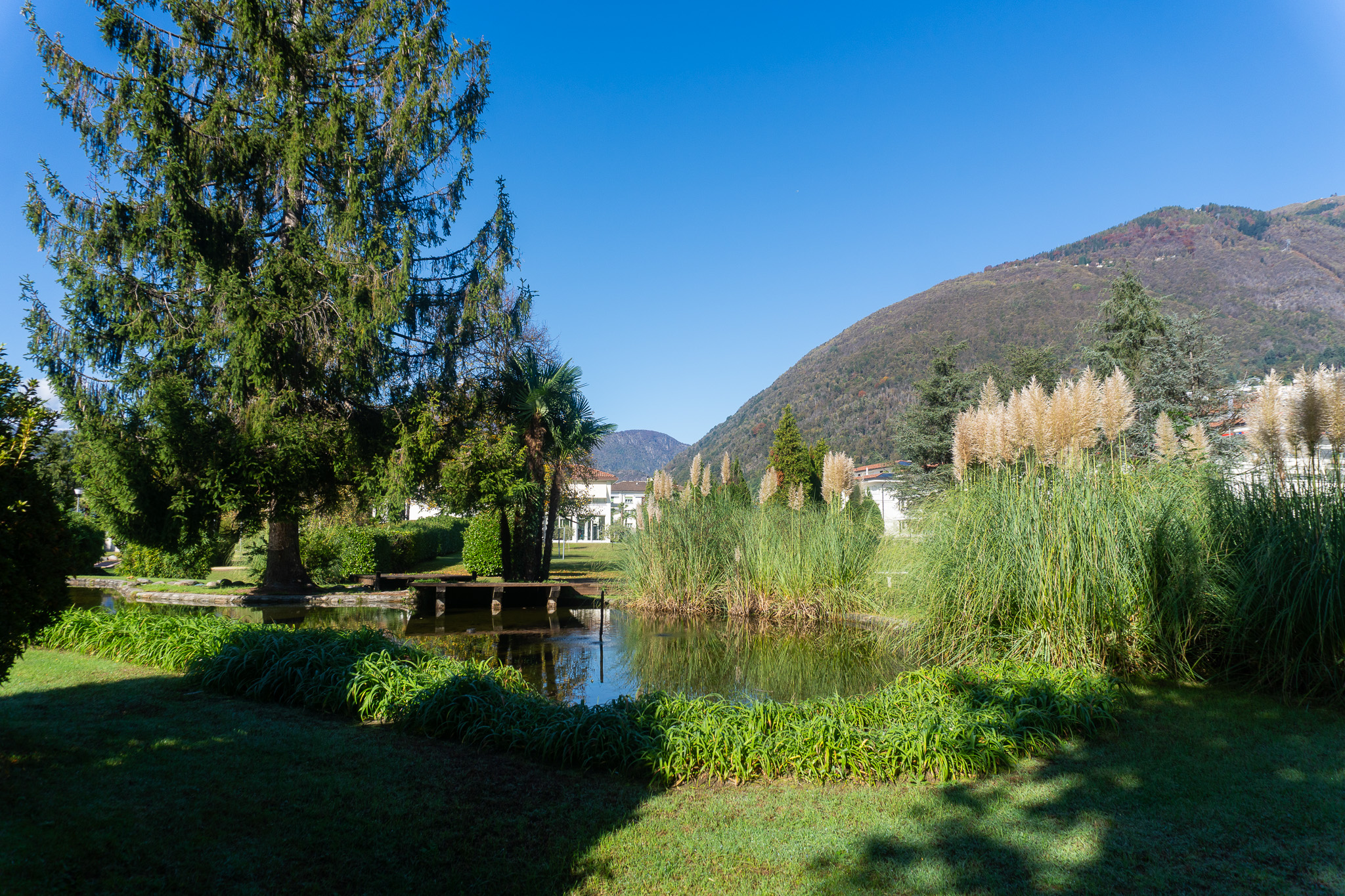 Delta Resort Apartments – image