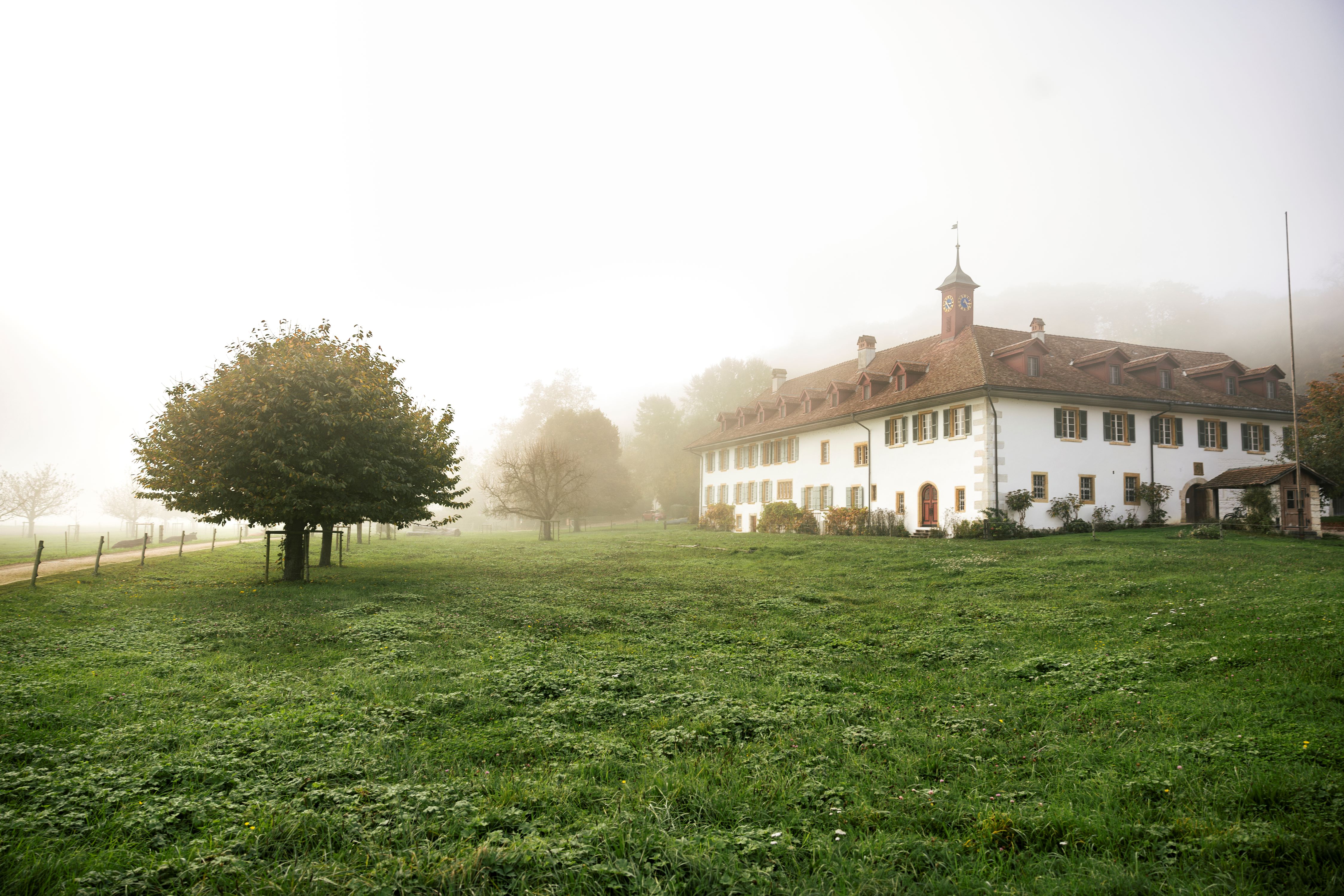 Hotel St. Petersinsel – Bild