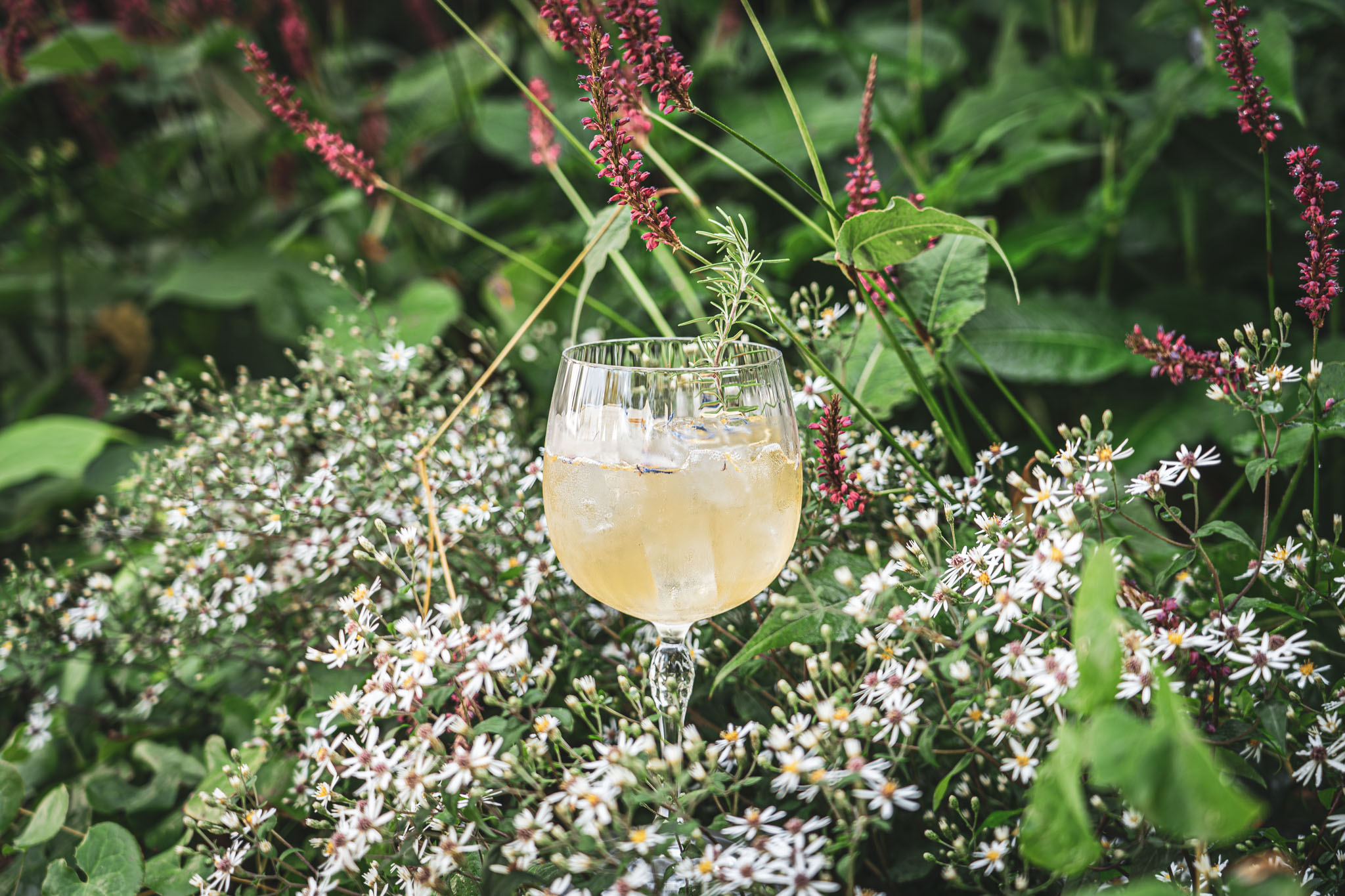 Landgasthof Halbinsel Au – image