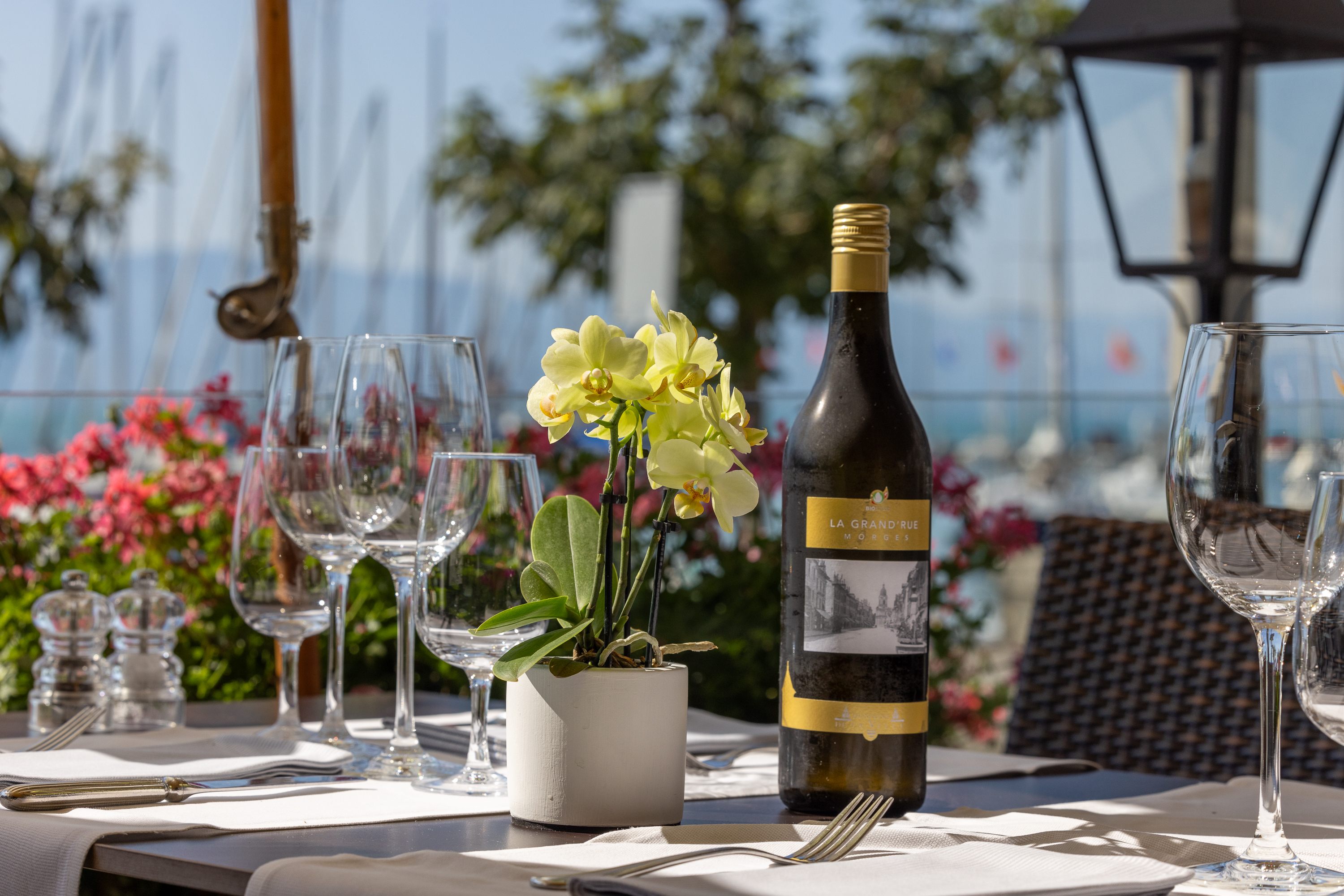 Terrassen-Restaurant Terrassen-Restaurant