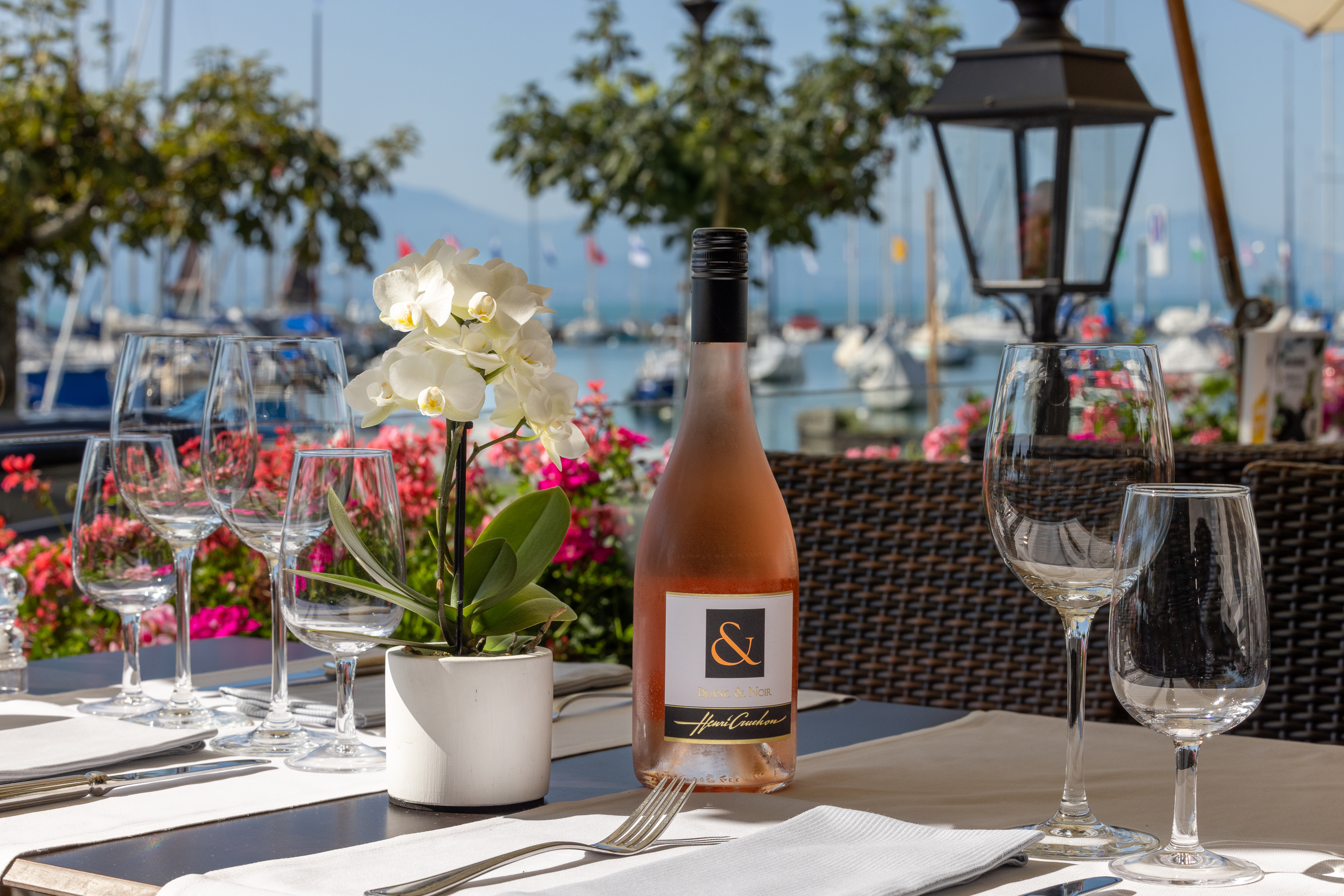 Terrassen-Restaurant Terrassen-Restaurant