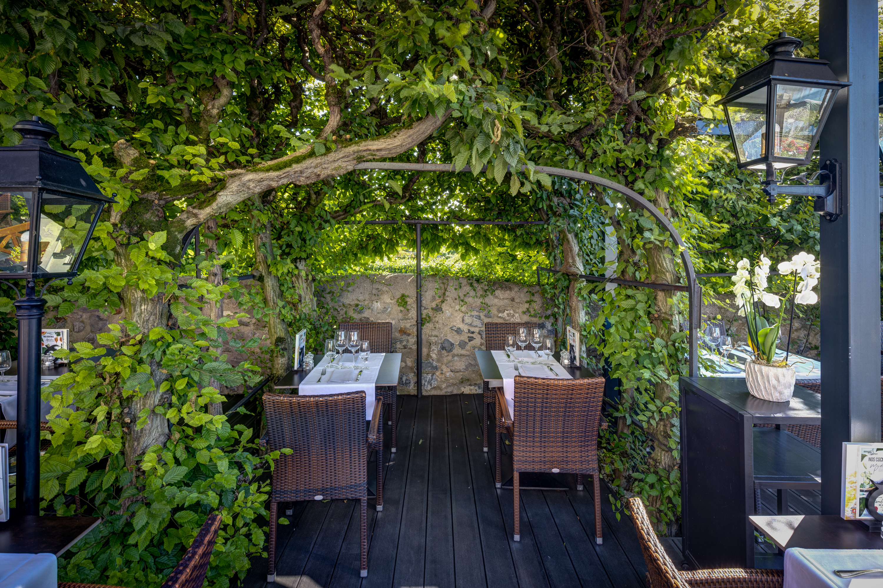 Terrassen-Restaurant Terrassen-Restaurant