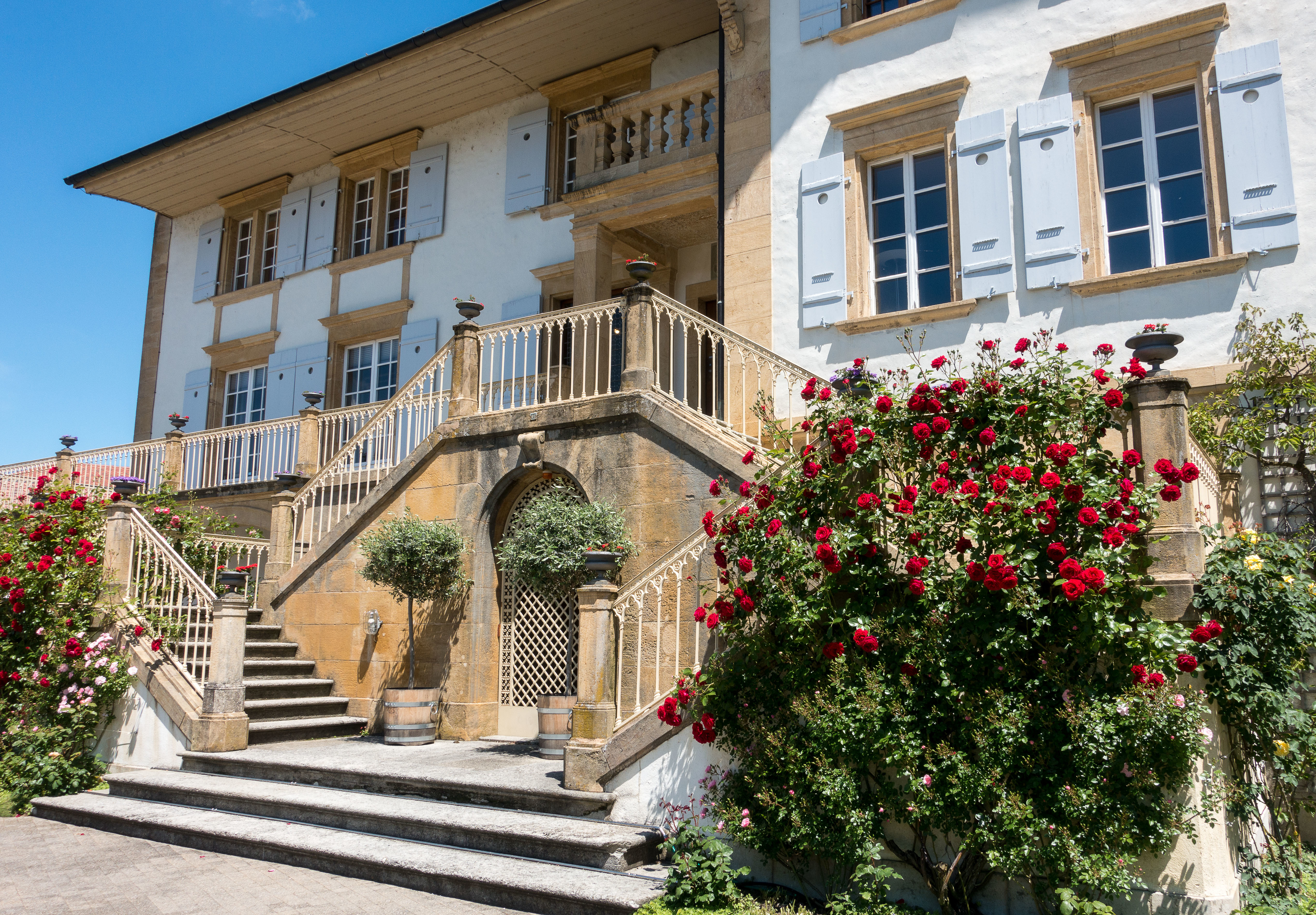 Centre Loewenberg – Bild