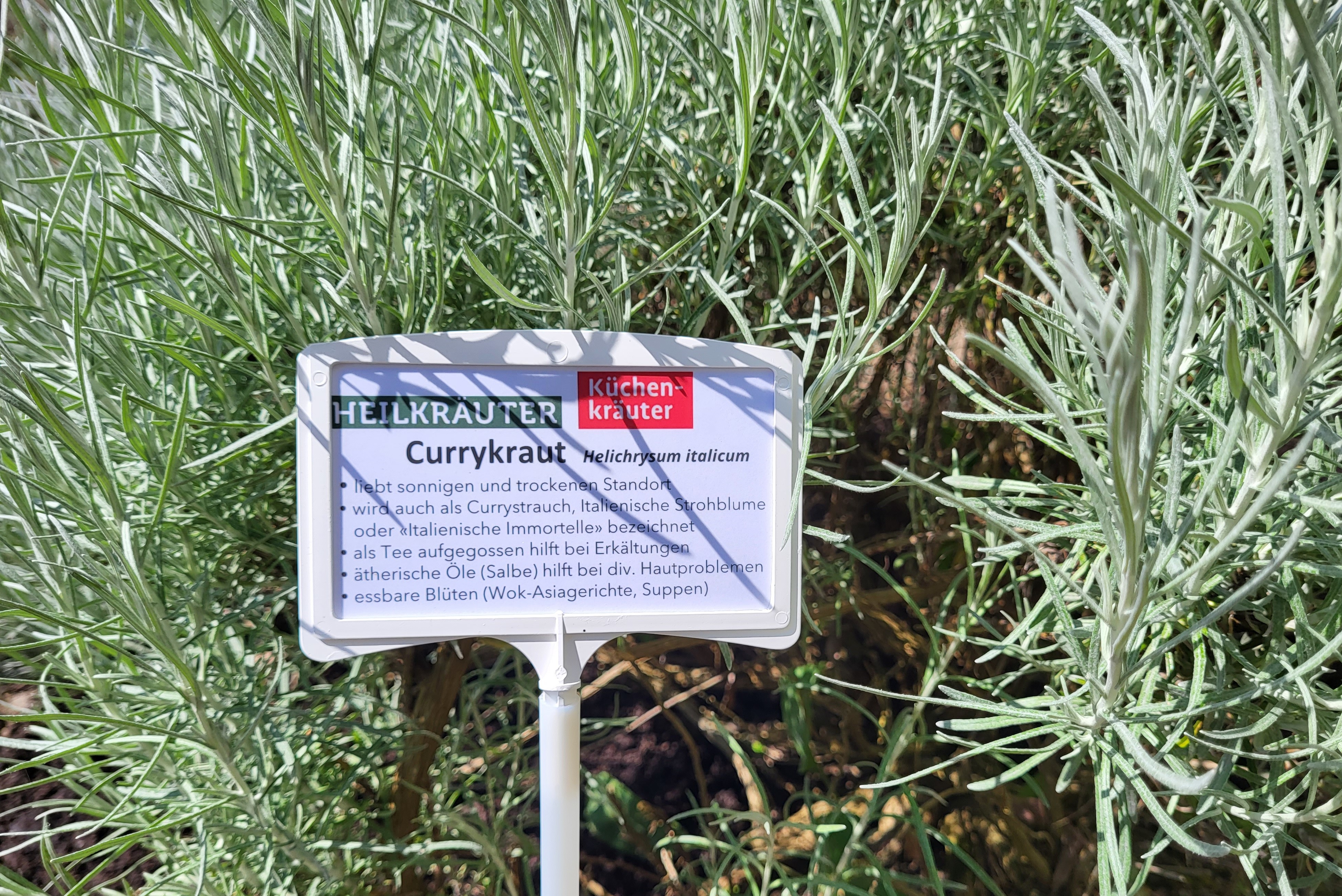 Propstei Wislikofen – image