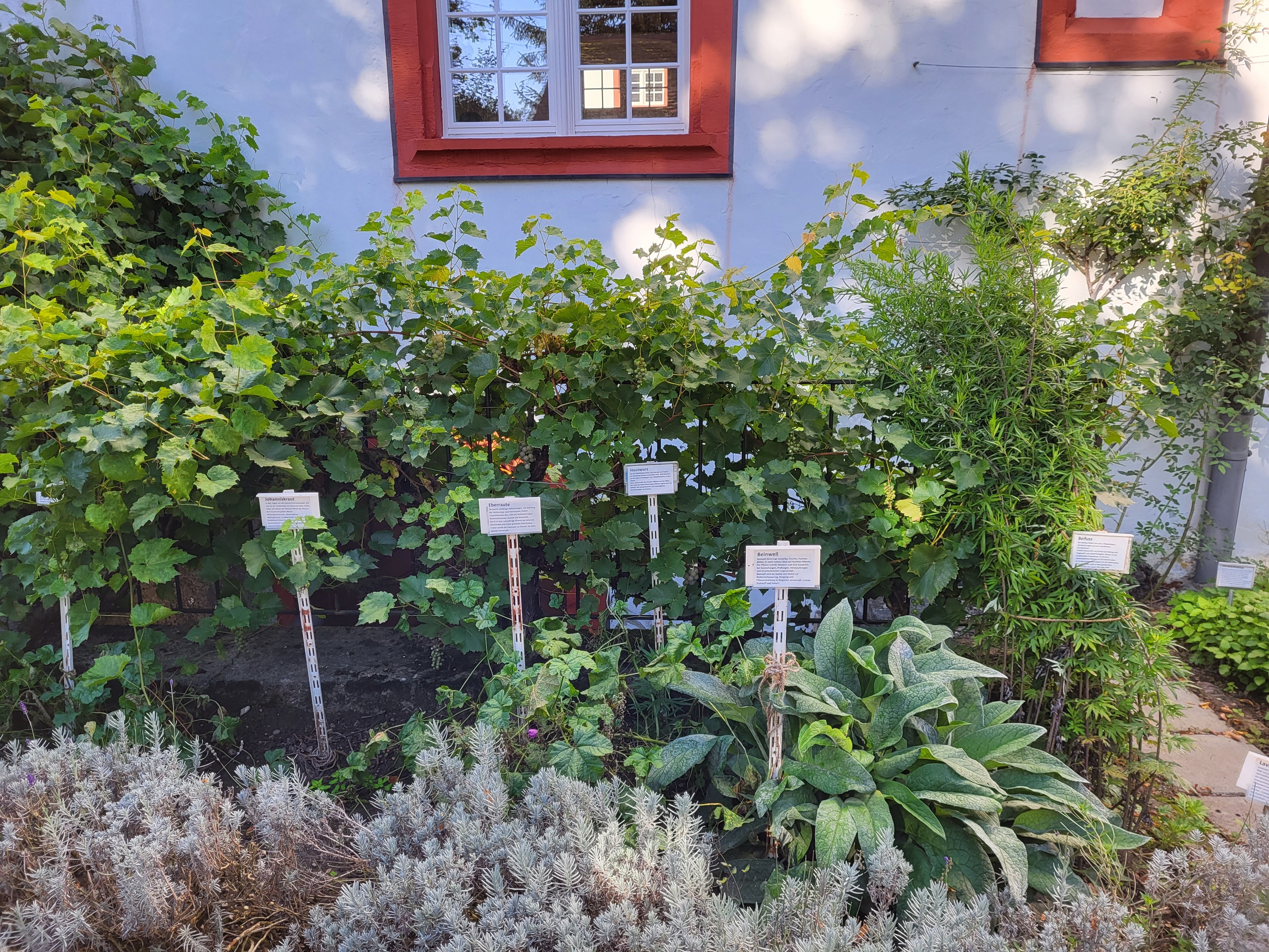 Propstei Wislikofen – image