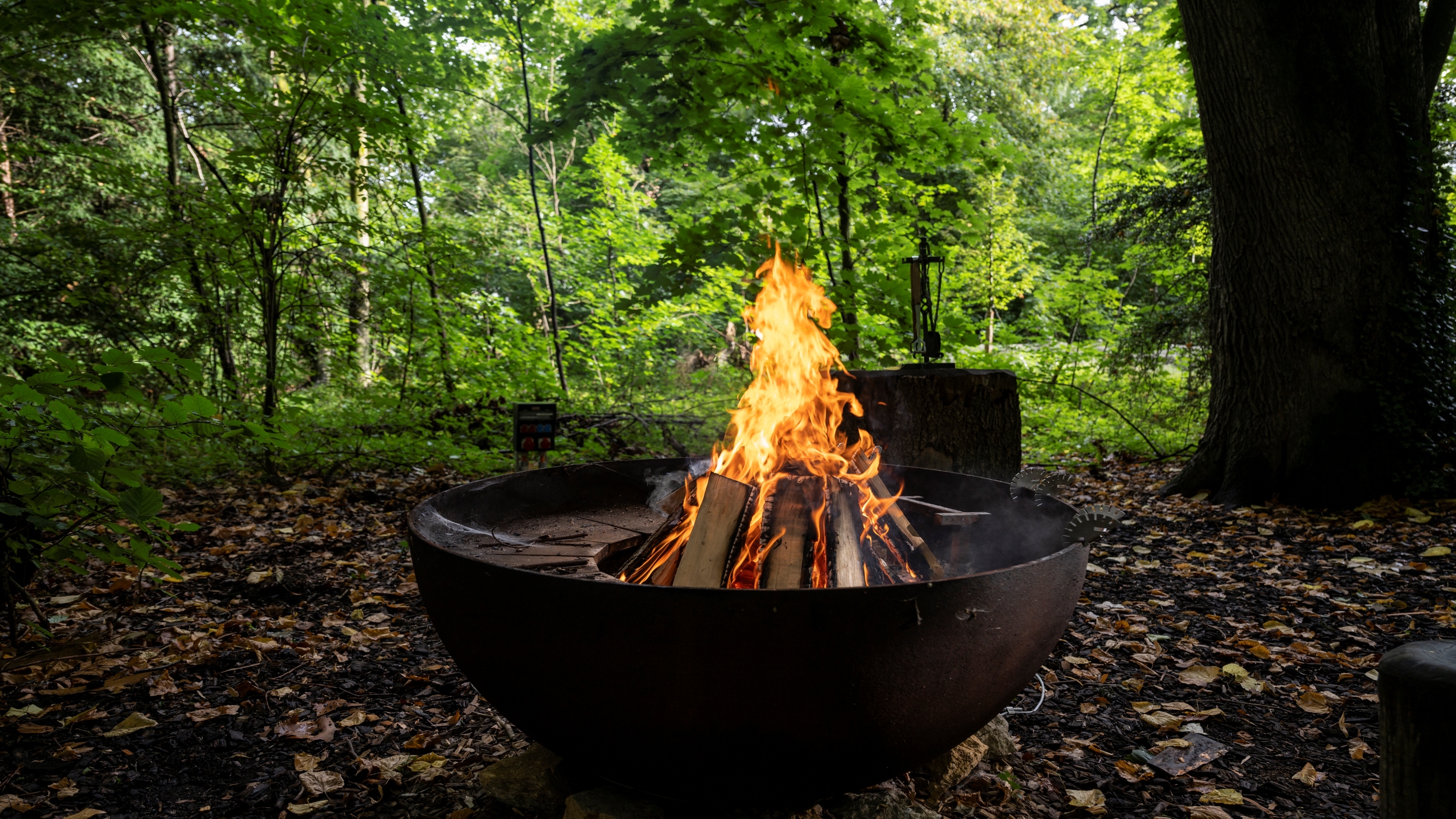 Centre Loewenberg – Bild