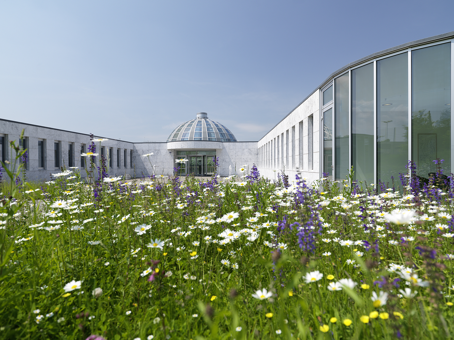 Weiterbildungszentrum Holzweid – immagine