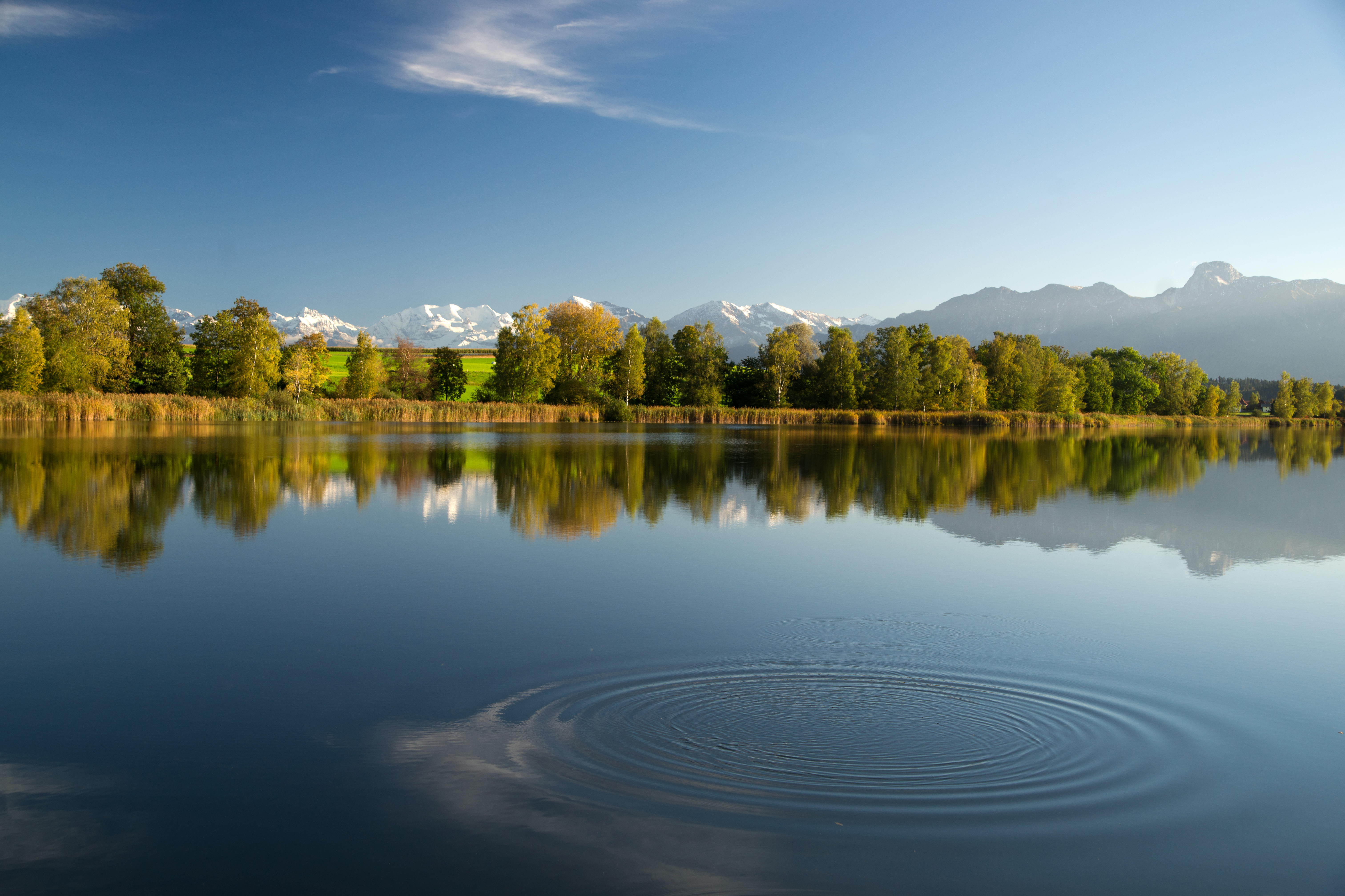 Hotel Schloss Gerzensee (hs-st_varia_0c7234a)