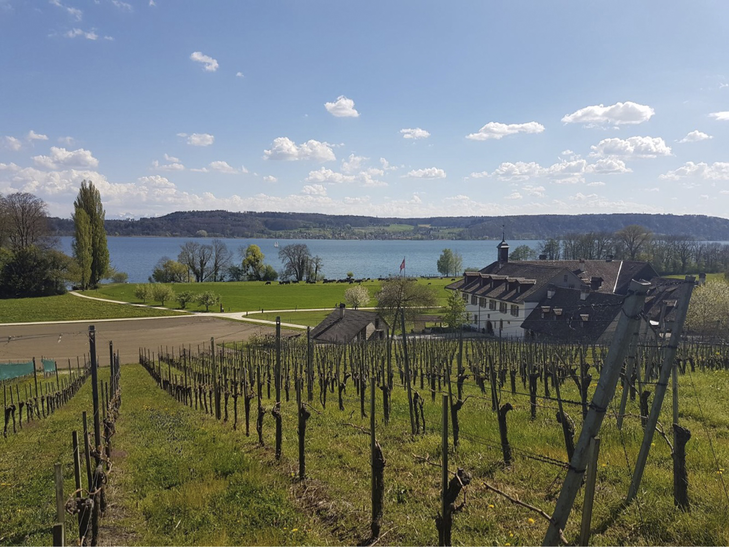 Hotel St. Petersinsel – Bild