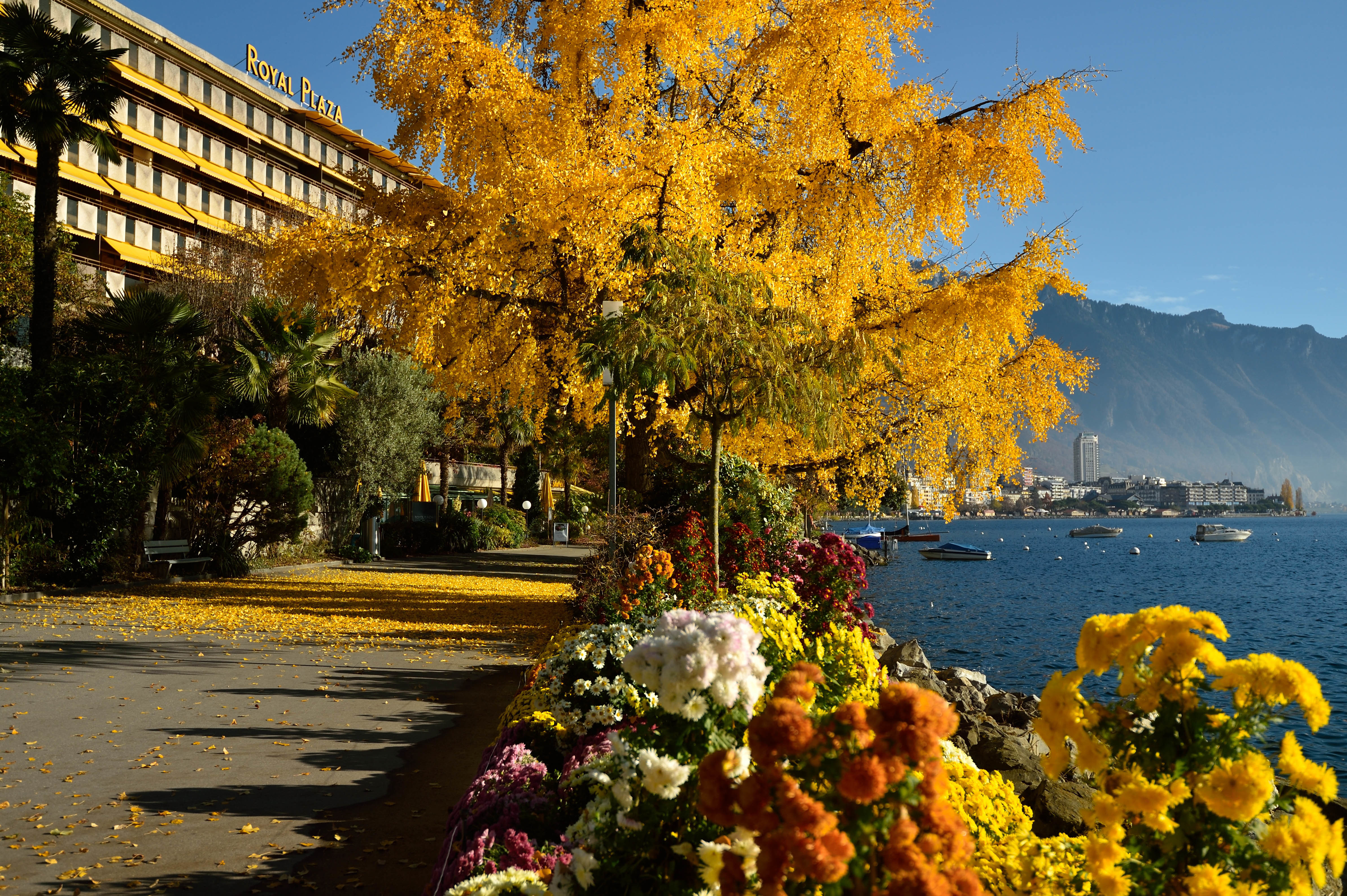 Royal Plaza Montreux – Bild
