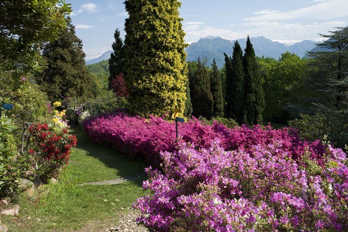 Parco San Grato Parco San Grato