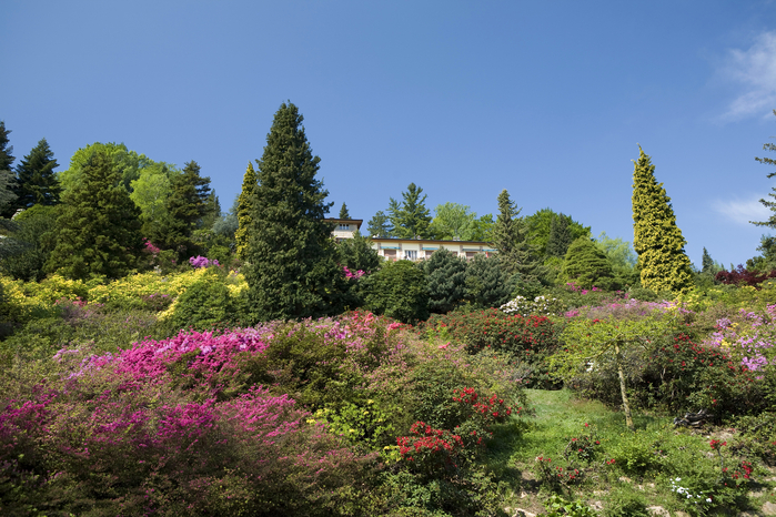 Parco San Grato Parco San Grato