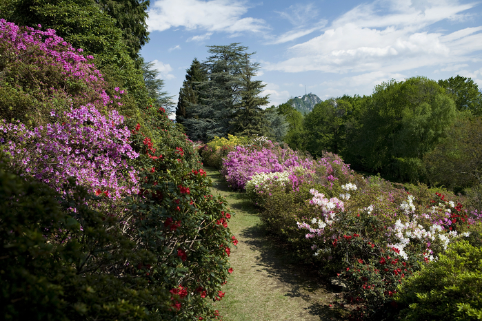Parco San Grato Parco San Grato