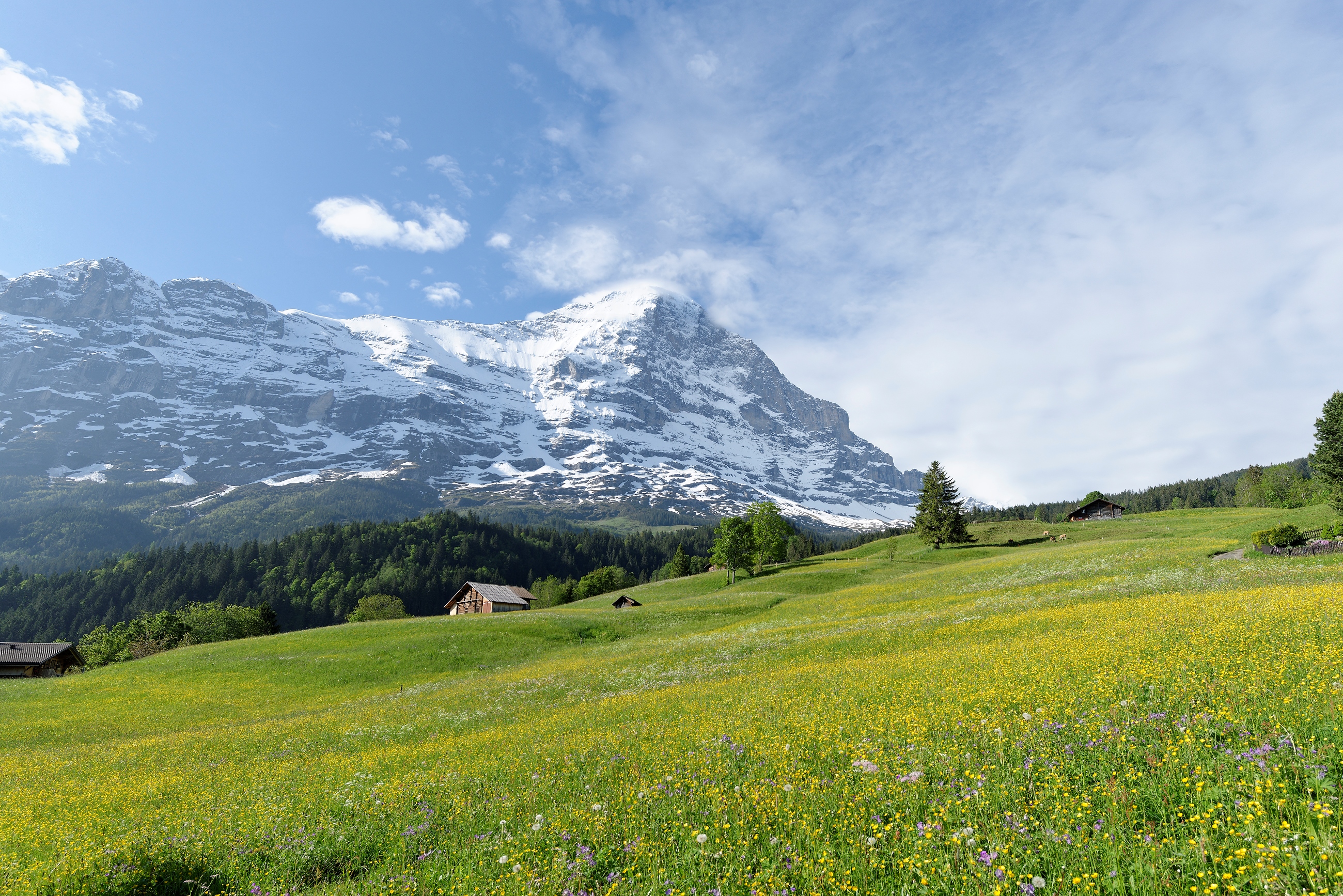 Aussicht Sommer Aussicht Sommer