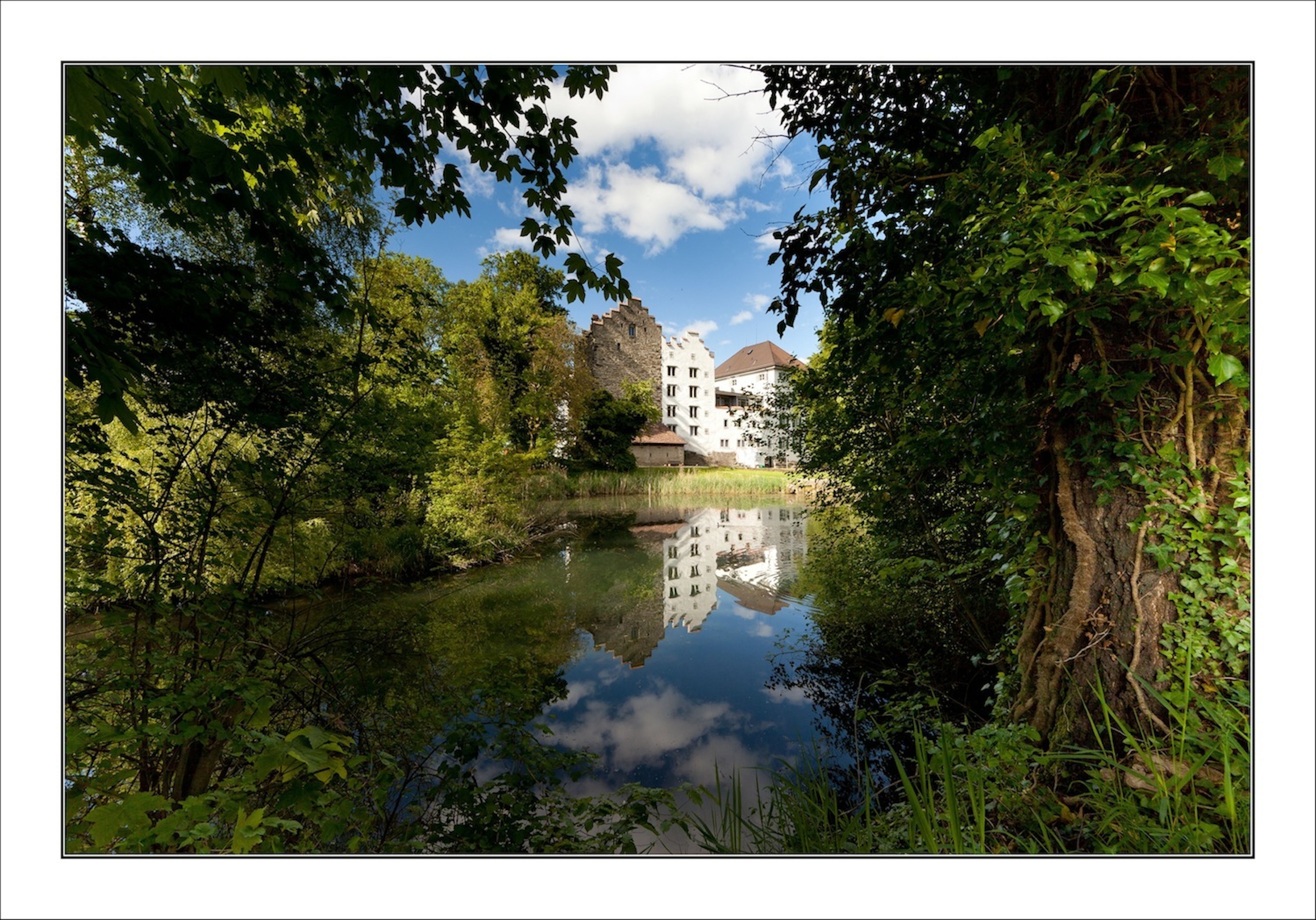 Schloss mit Naturweiher Schloss mit Naturweiher