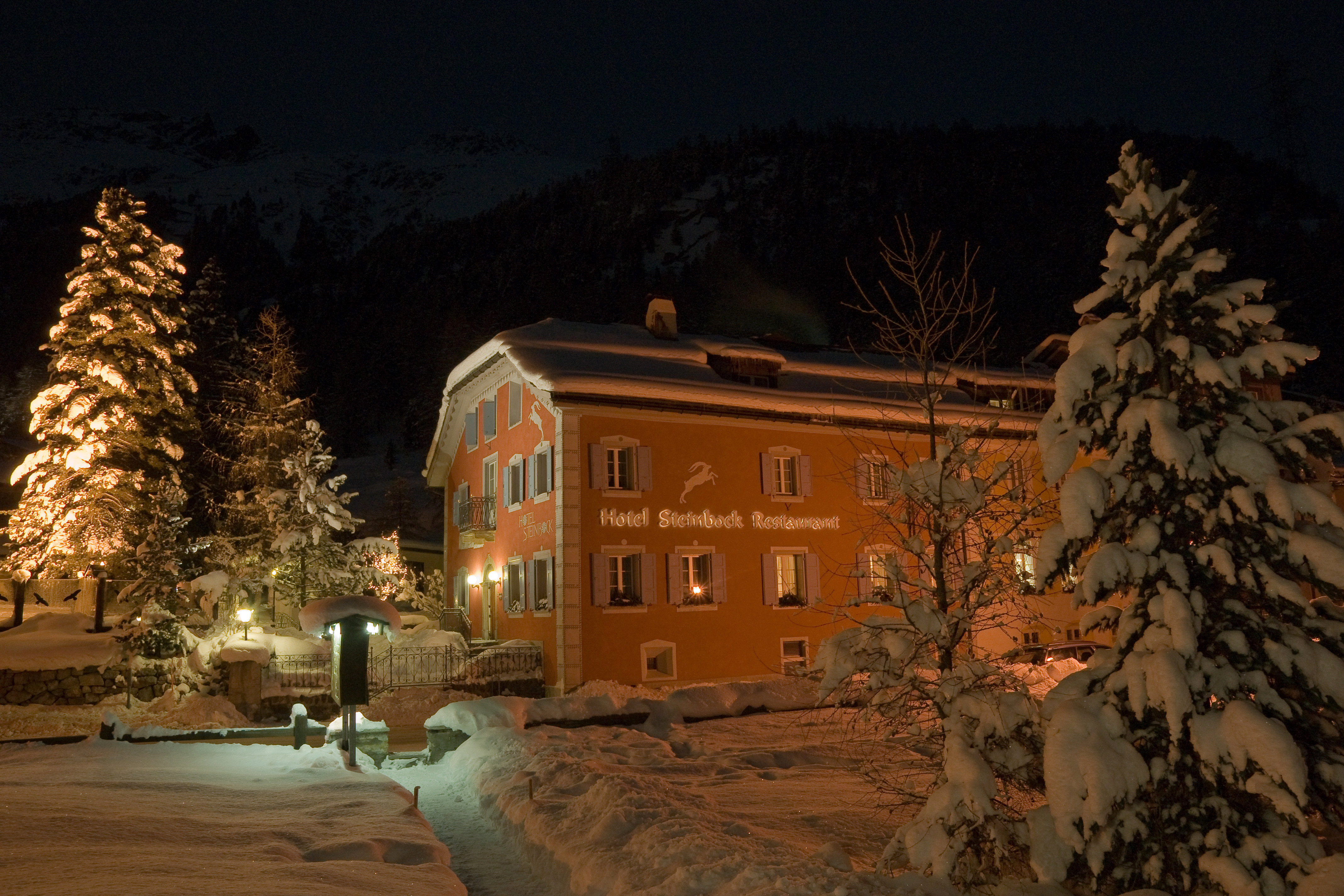 Hotel Steinbock – Bild