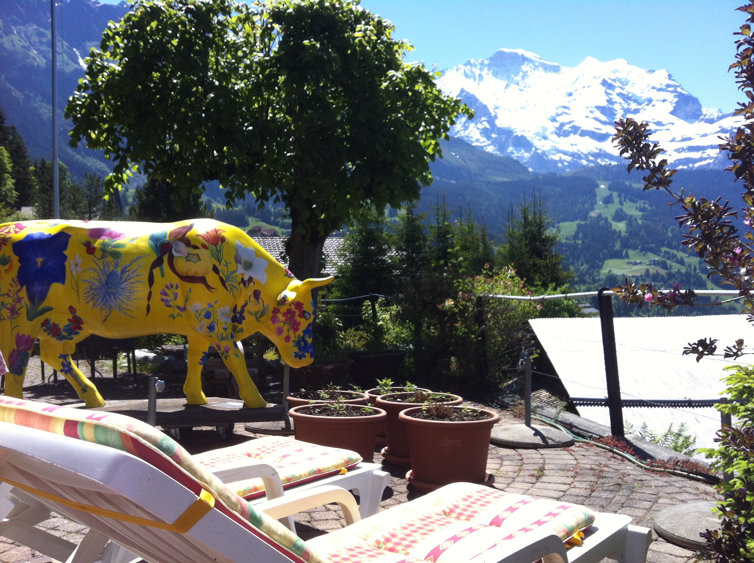 Sonnenterrasse Sonnenterrasse