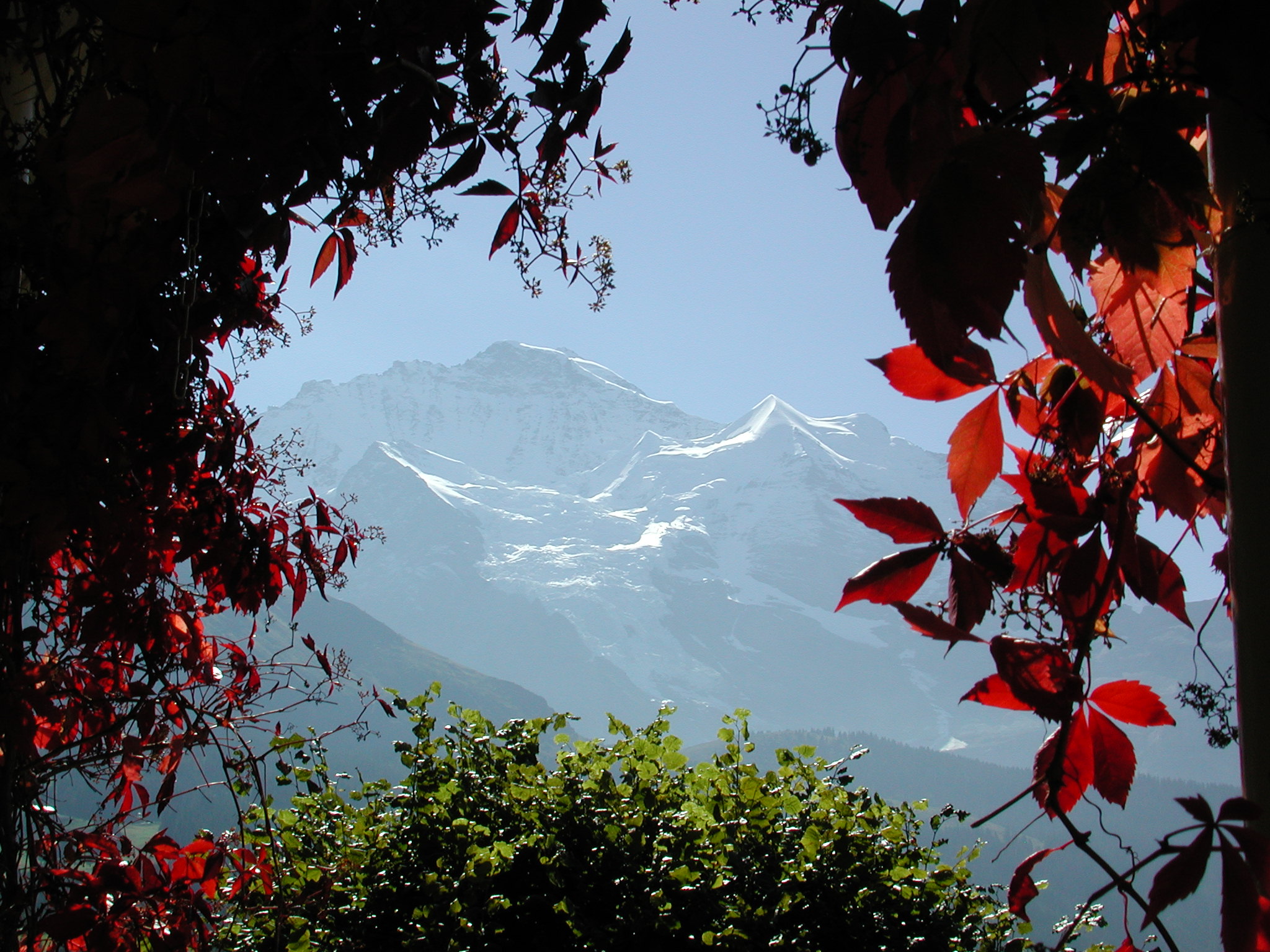 Aussicht von der Terrasse Aussicht von der Terrasse
