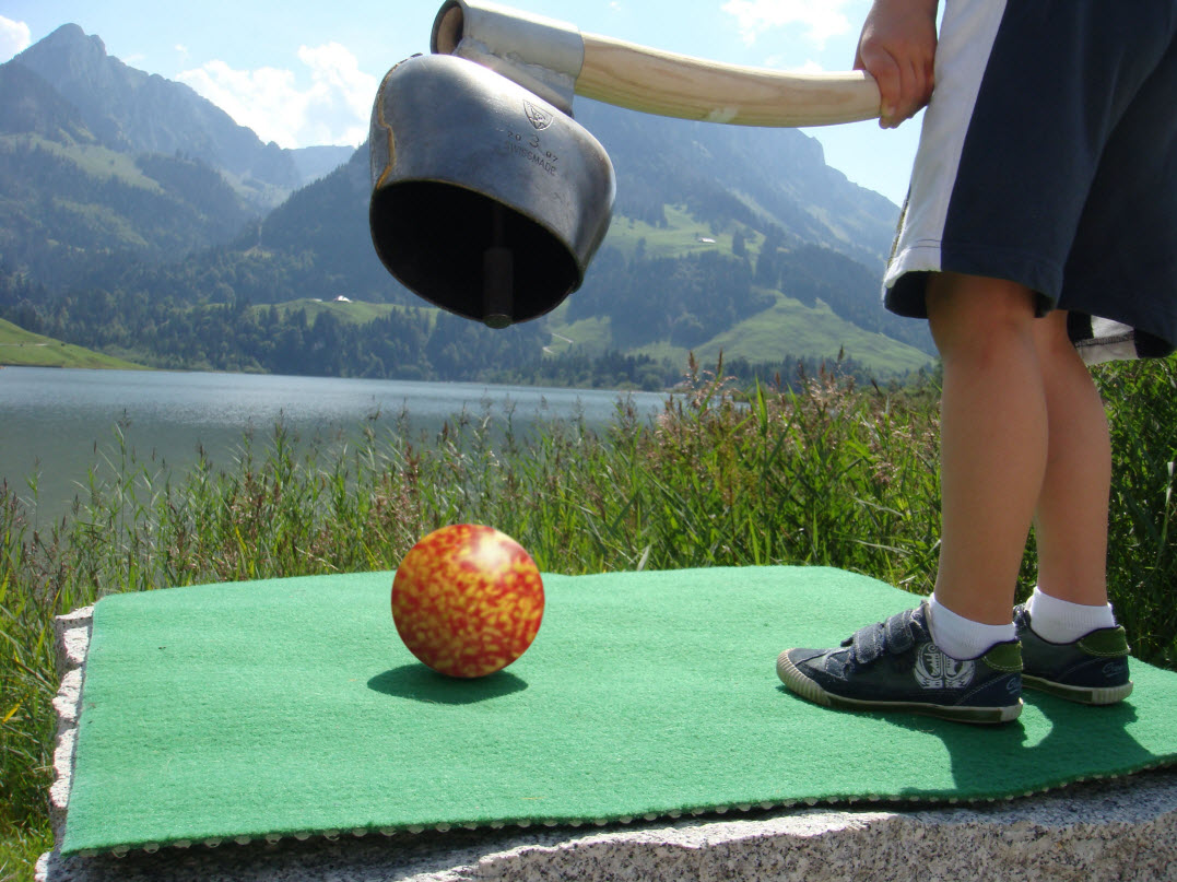 Hostellerie am Schwarzsee – image