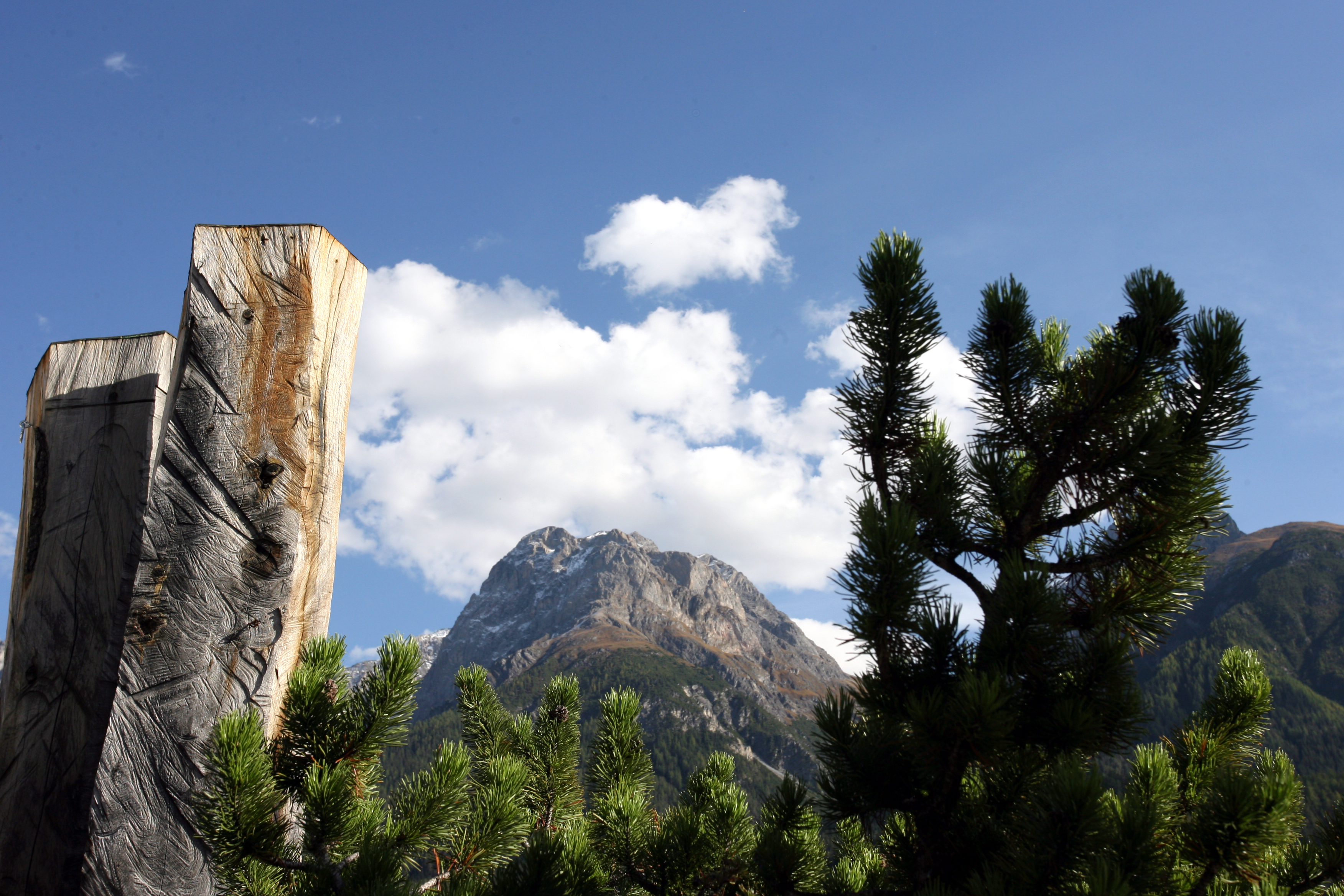 Hotel Traube – image