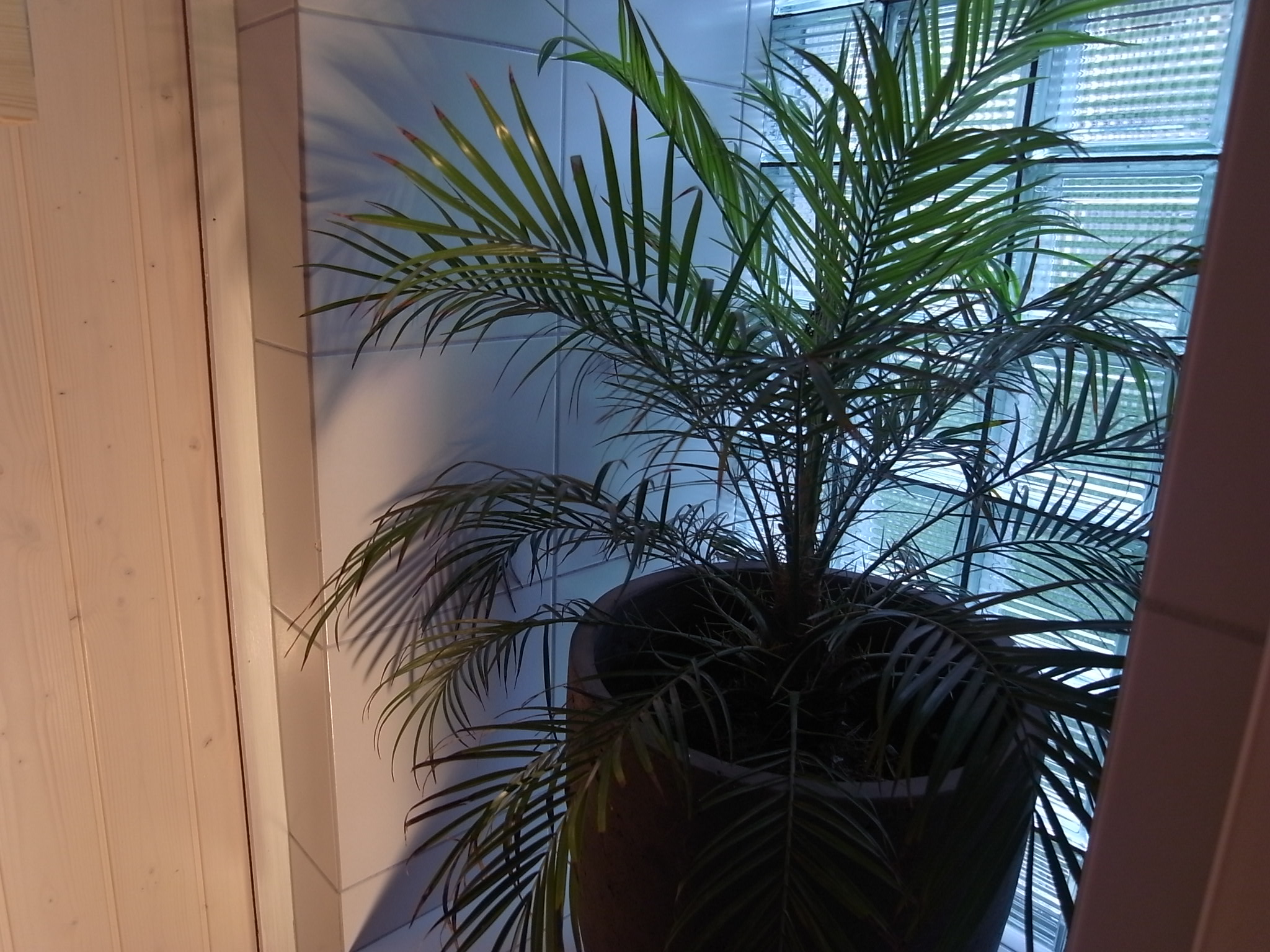 Hotel Traube – image