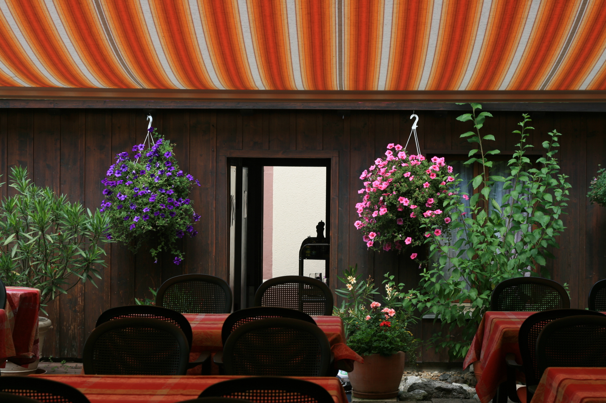 Gasthaus zur Sonne – Bild