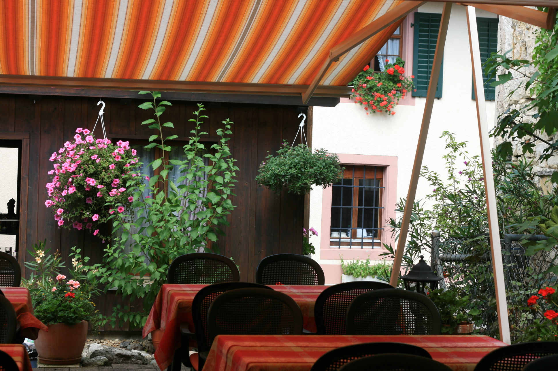 Gasthaus zur Sonne – Bild