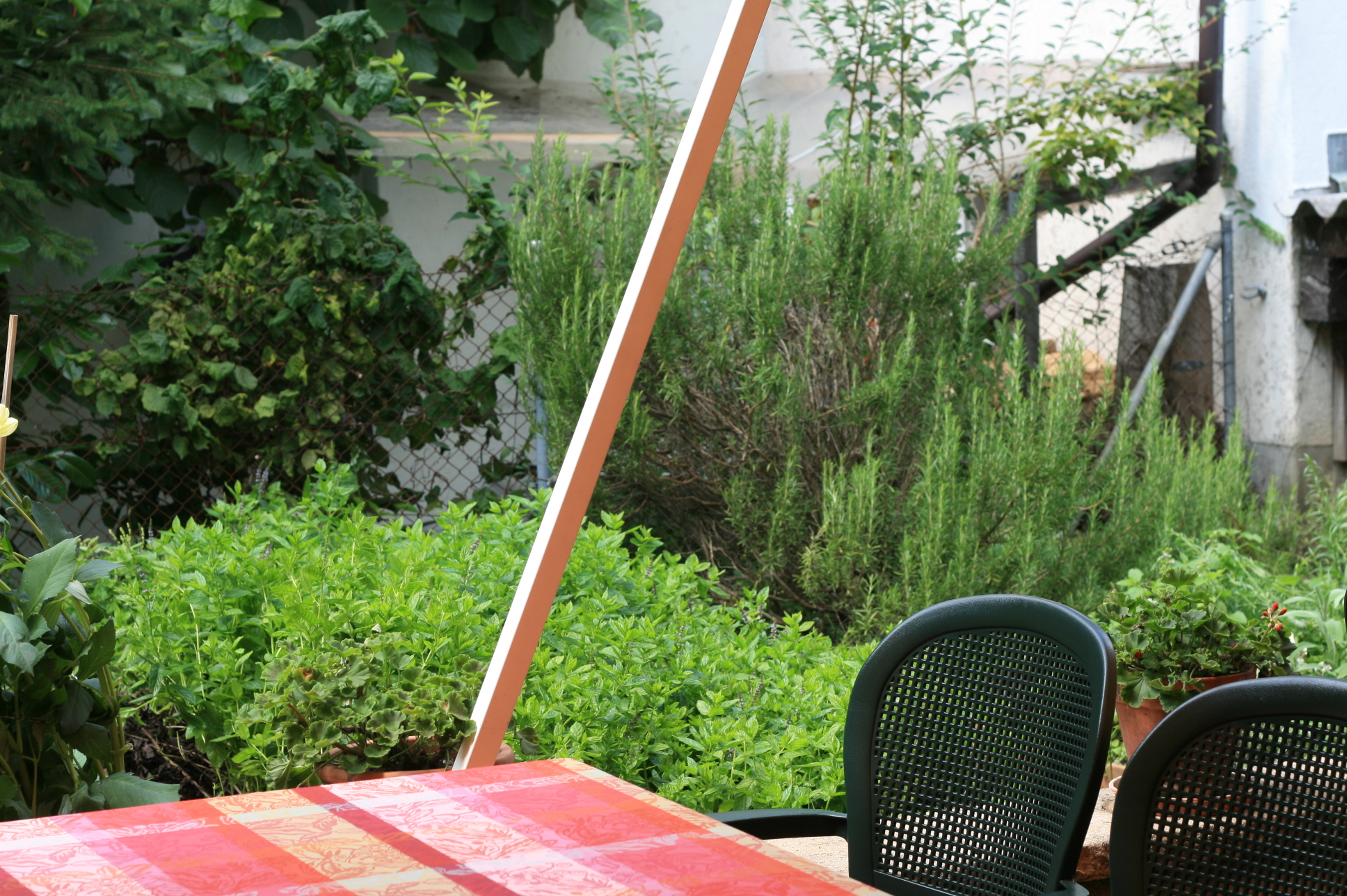 Kräutergärtli Kräutergärtli