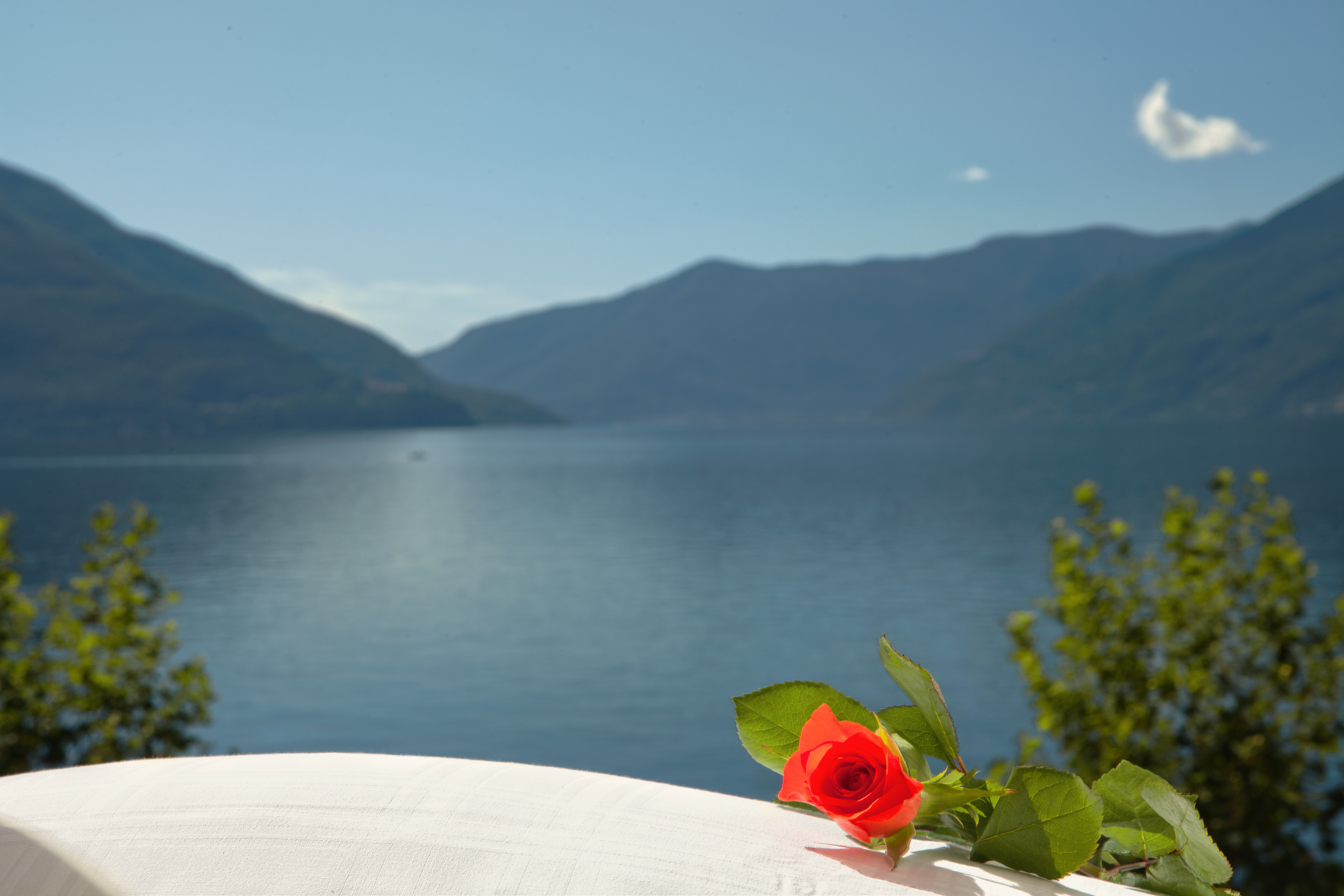 Good morning Good morning