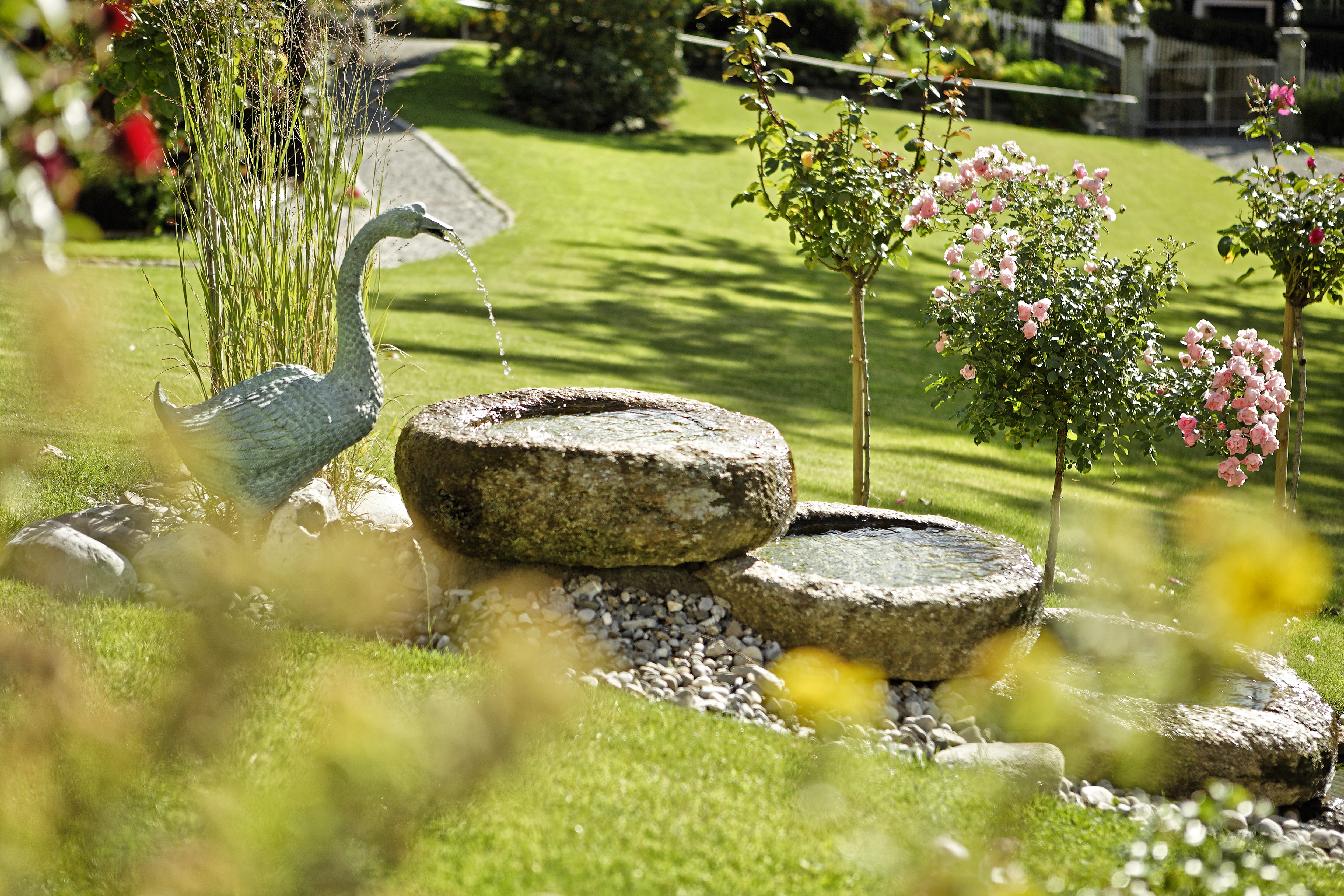 Giardino Eden Giardino Eden