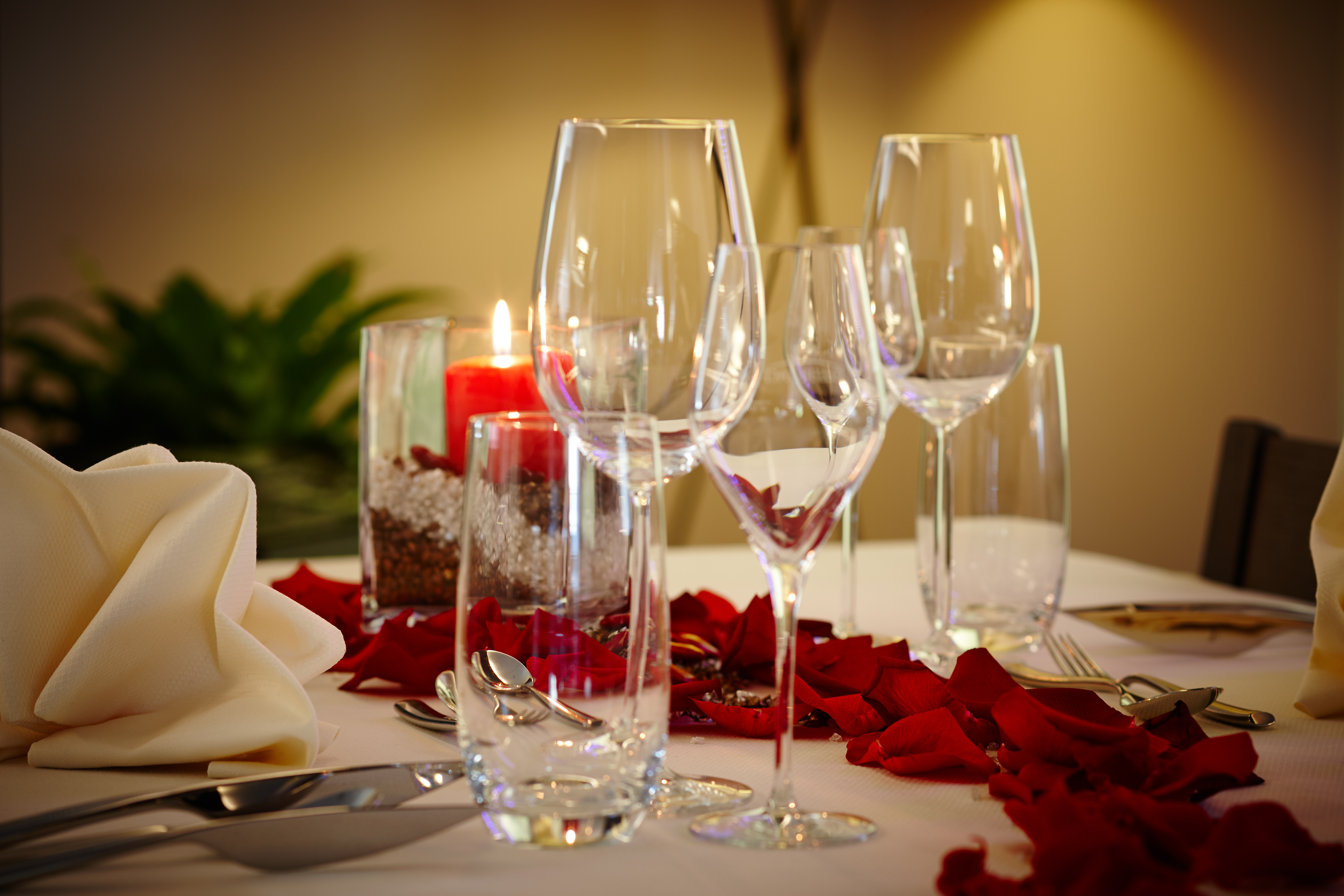 Romantic Dinner Romantic Dinner