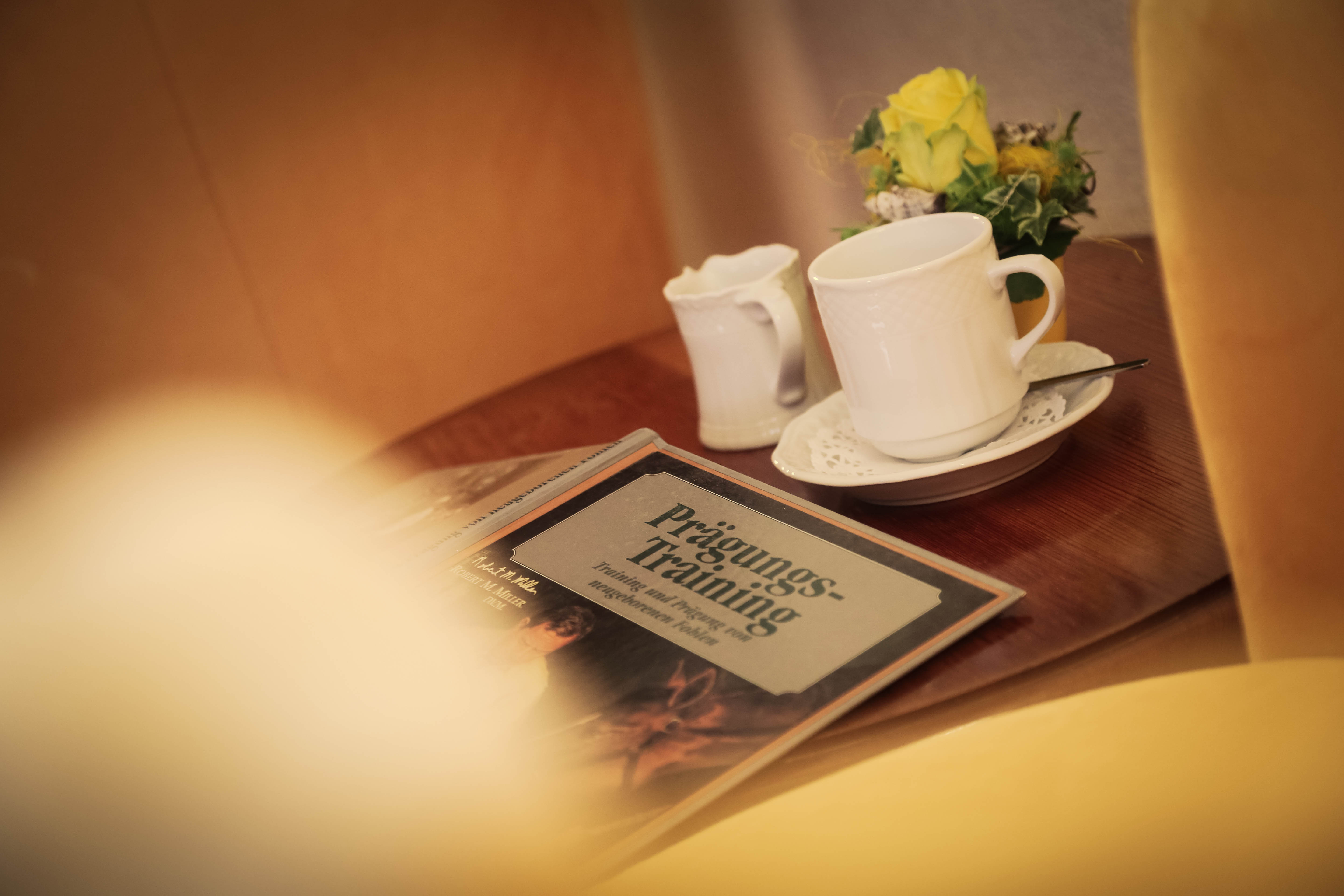 Doppelzimmer Doppelzimmer