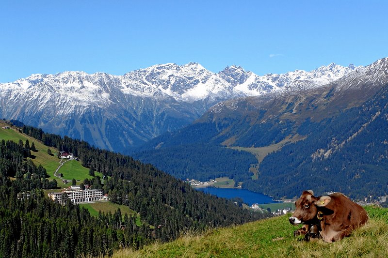 SUBARU Switzerland AG